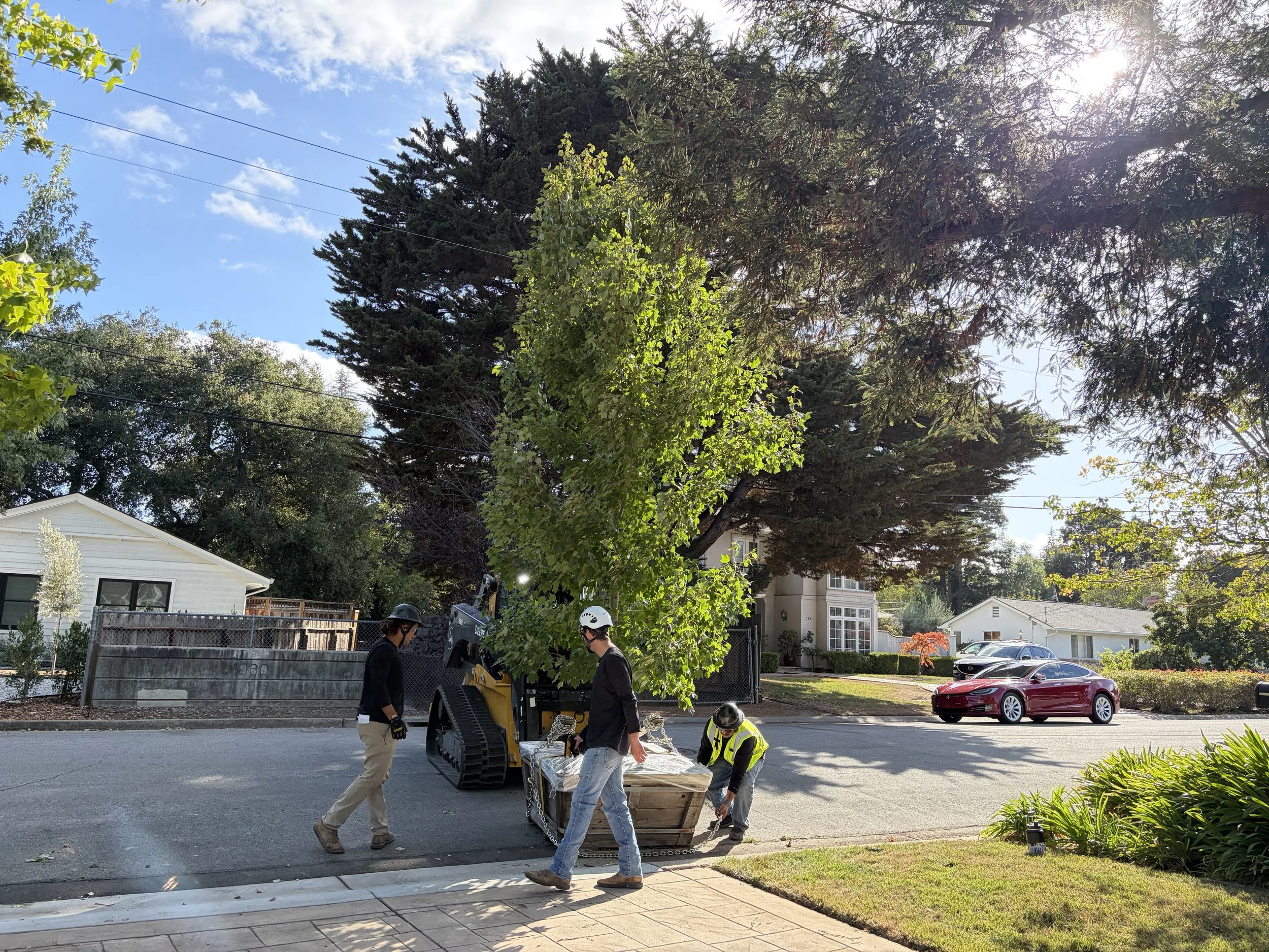 Five workers are preparing to lift a large wooden crate onto a skid loader in a residential neighborhood. The workers are wearing helmets and safety vests. There are houses, cars, and trees in the background under a sunny sky.