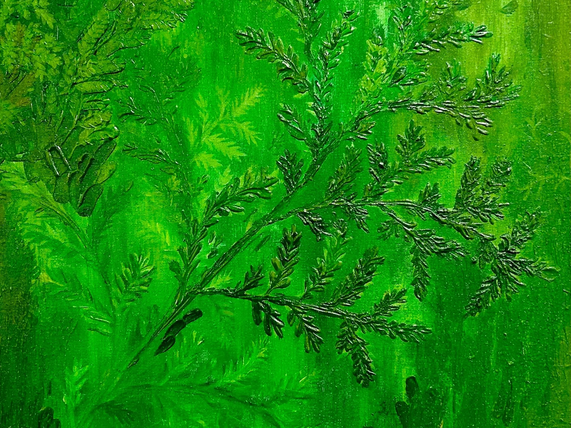Forest Bathing