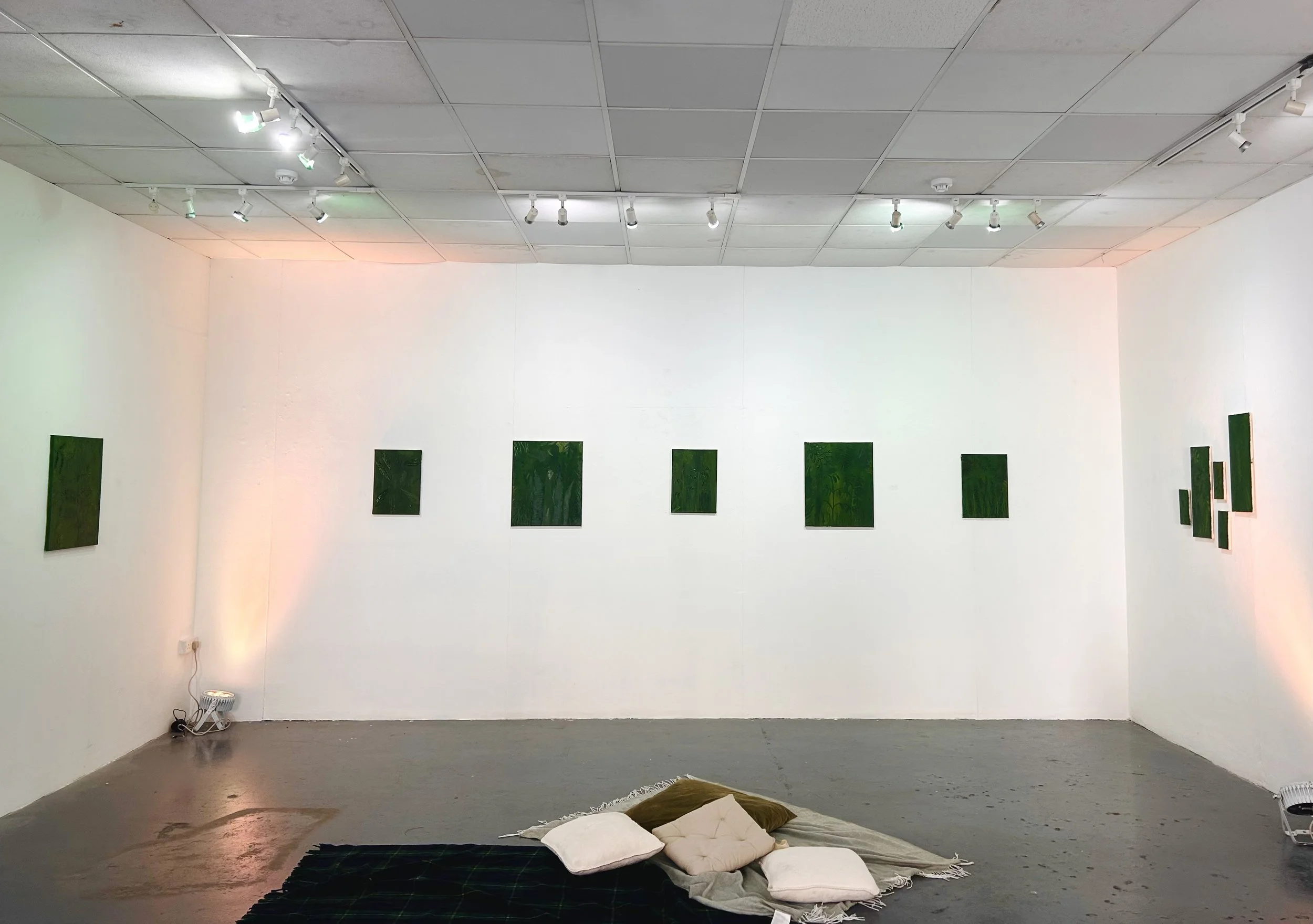 Forest Bathing (2025)
Ciara L Campbell
Acrylic on canvas, LED lighting, audio headspace