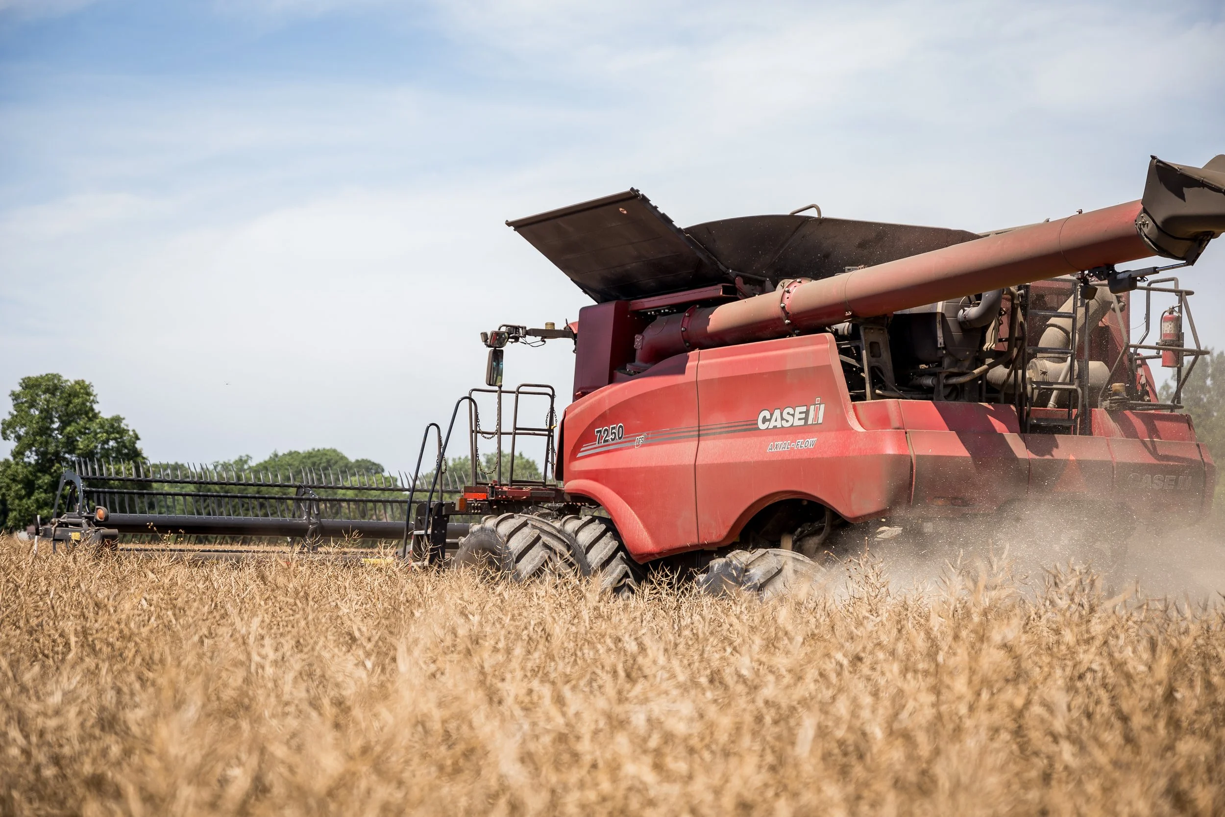 A large red Case IH 7250 combine harvester operating in a field of wheat with blue sky and some green trees in the background.