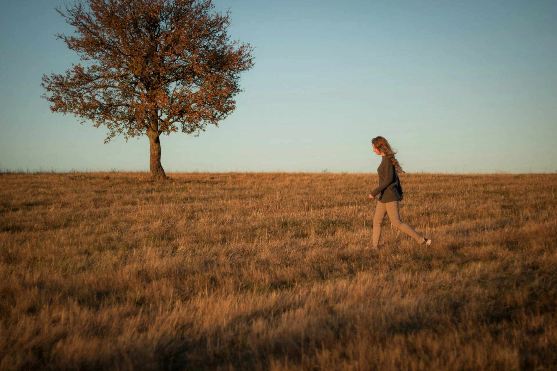 Pessoa caminhando em um campo com uma árvore ao fundo ao entardecer.