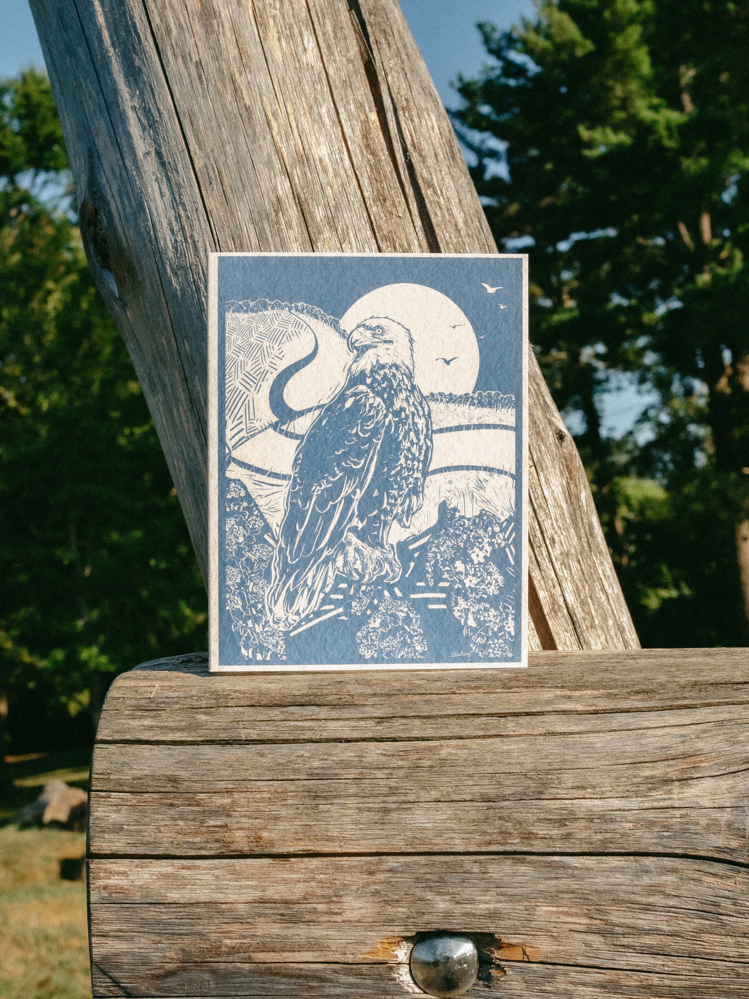 Eagle Greeting Card
