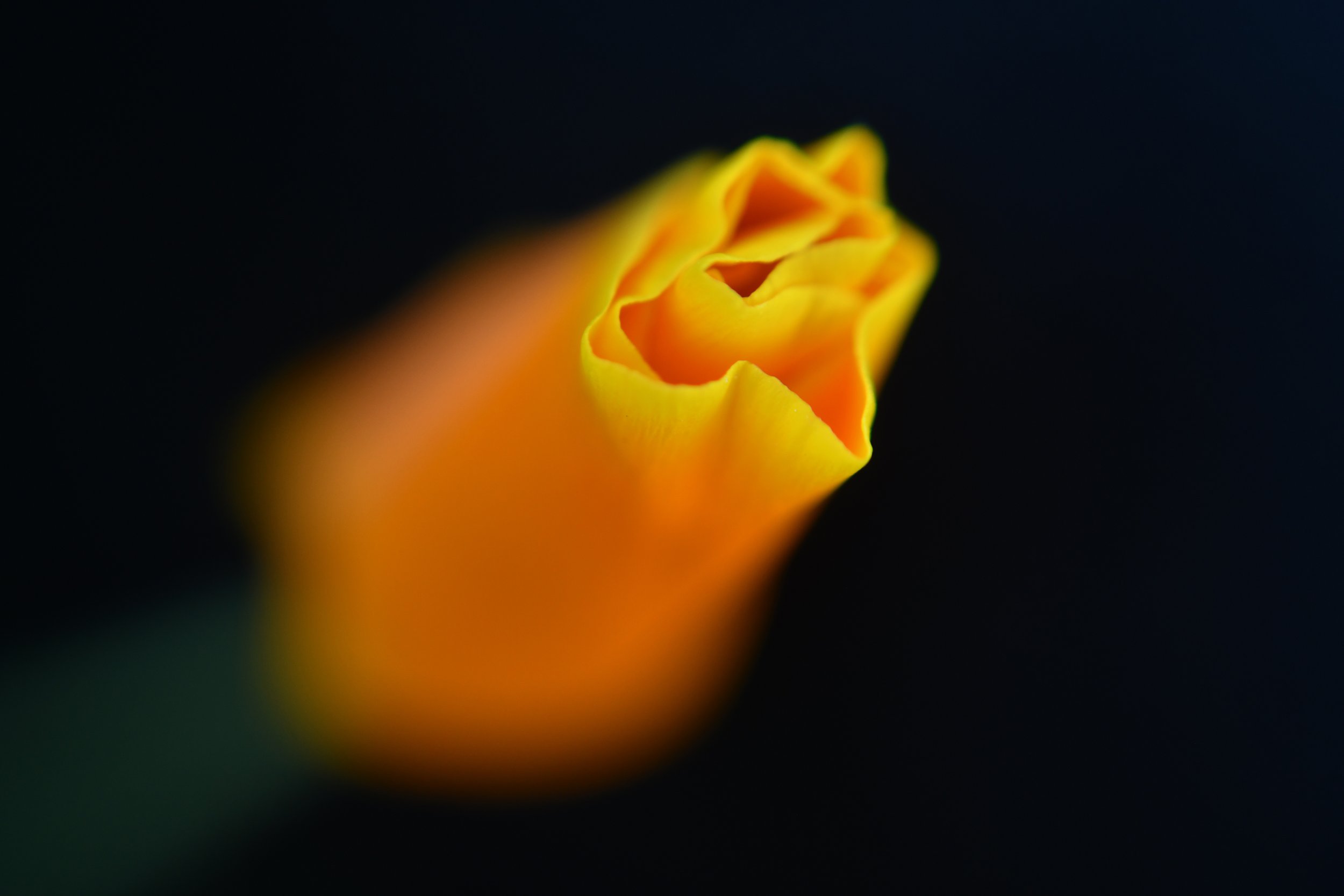 20220322shell11.jpg