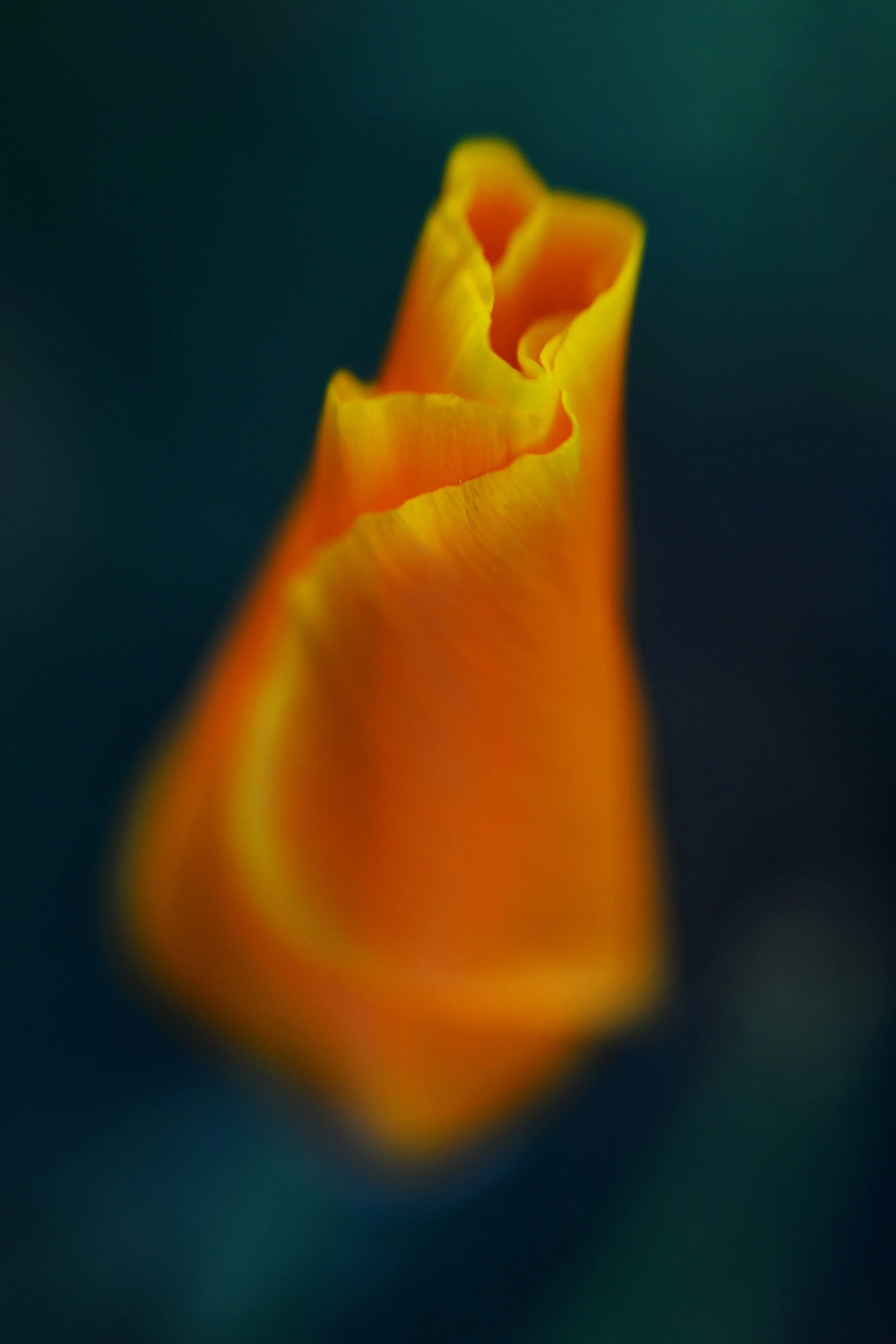 20220322shell03.jpg
