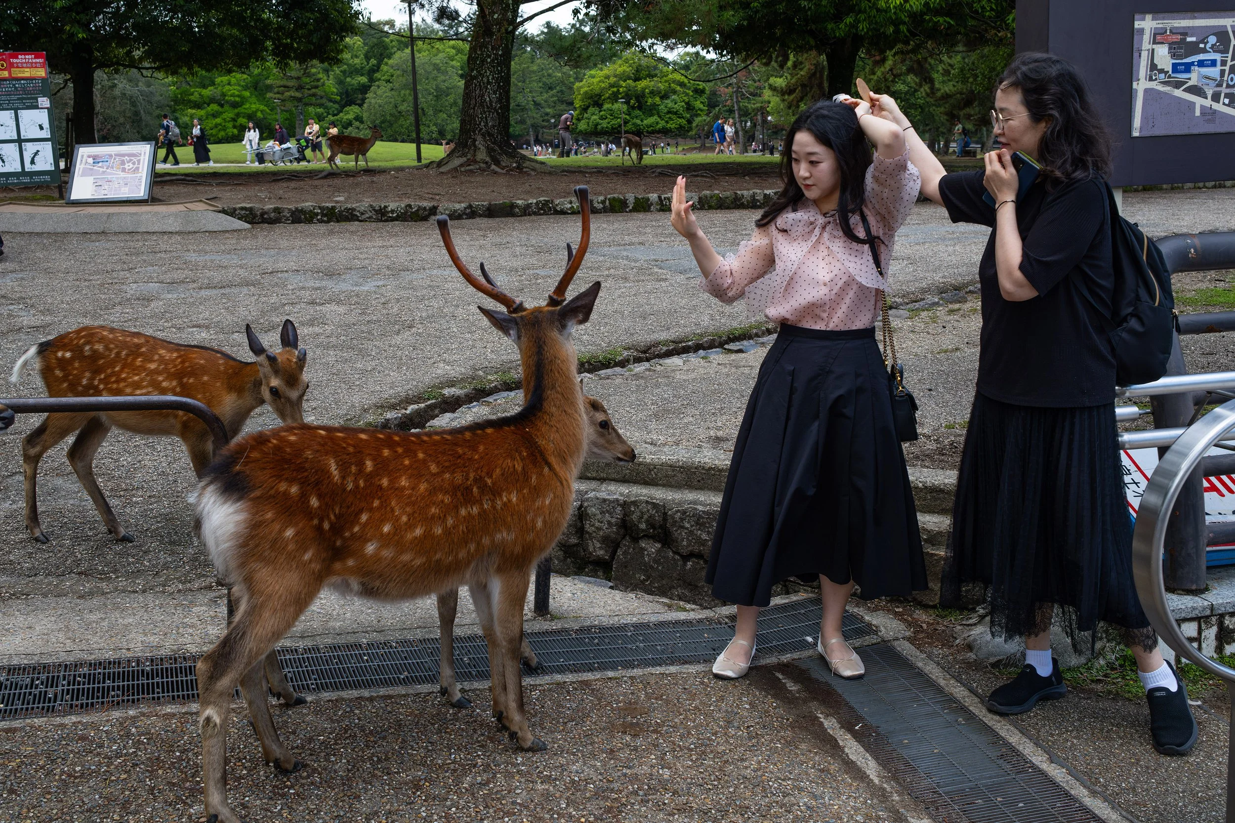 20250604nara08.jpg
