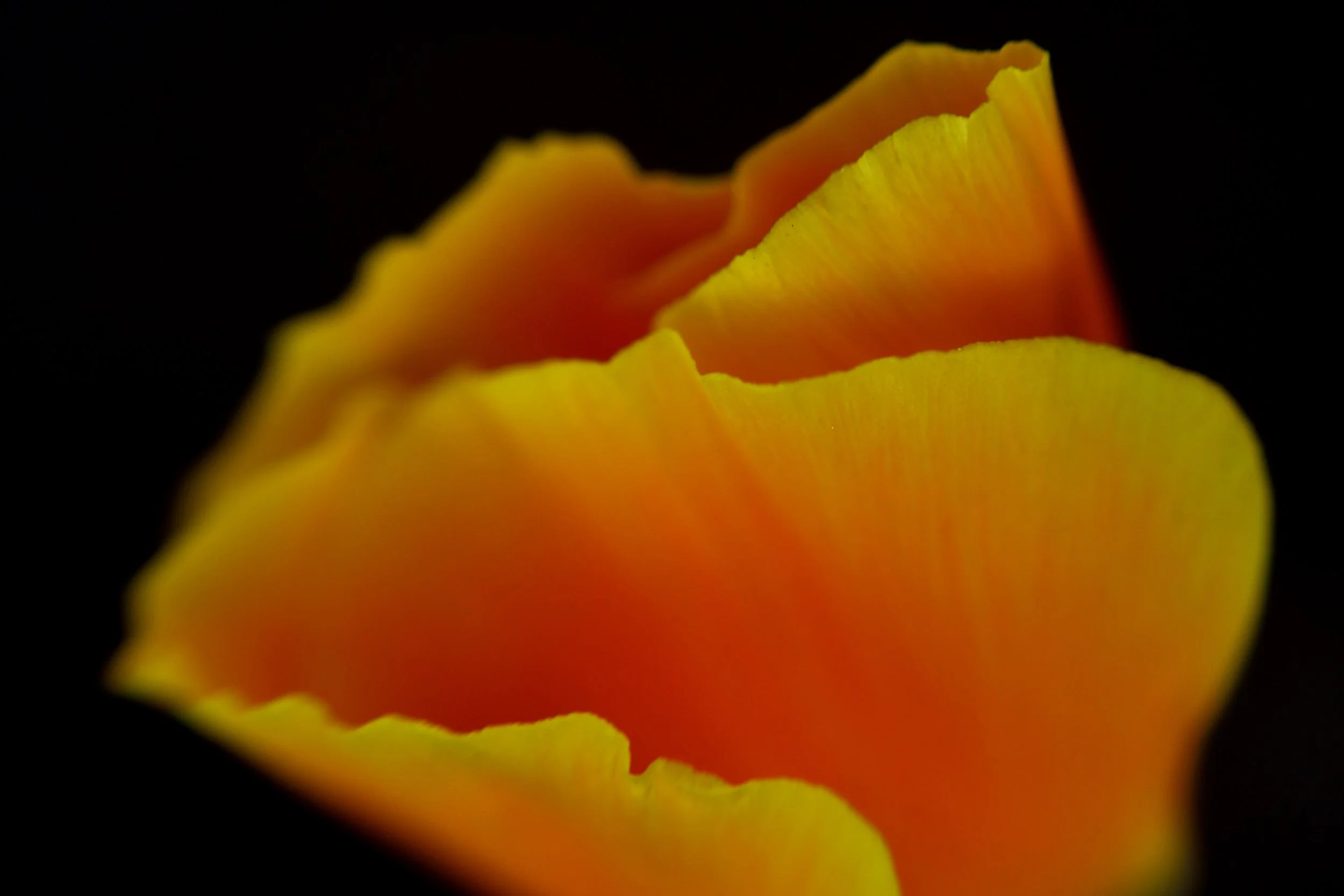 20220322shell21.jpg