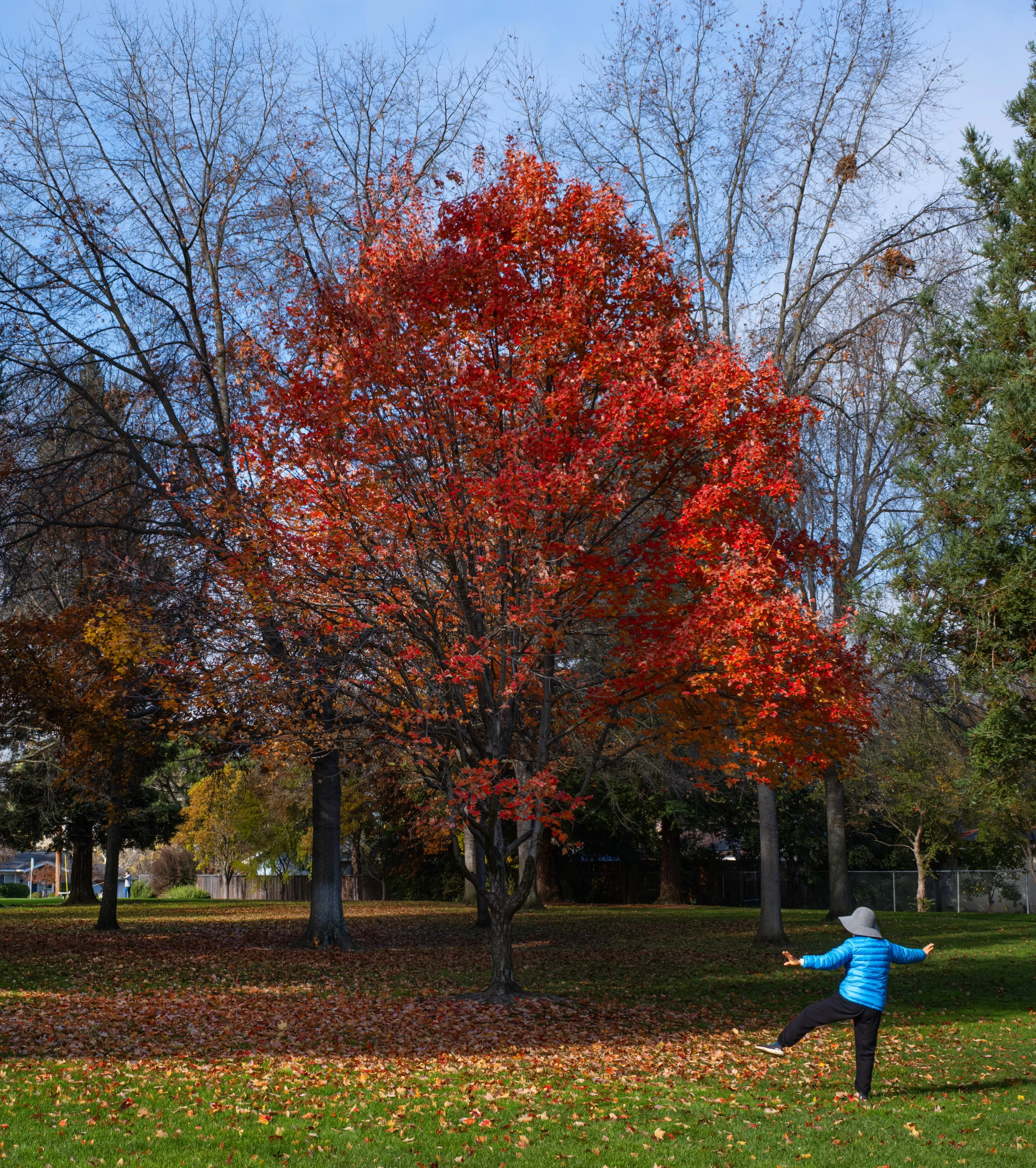 20251211walnutcreek01.jpg