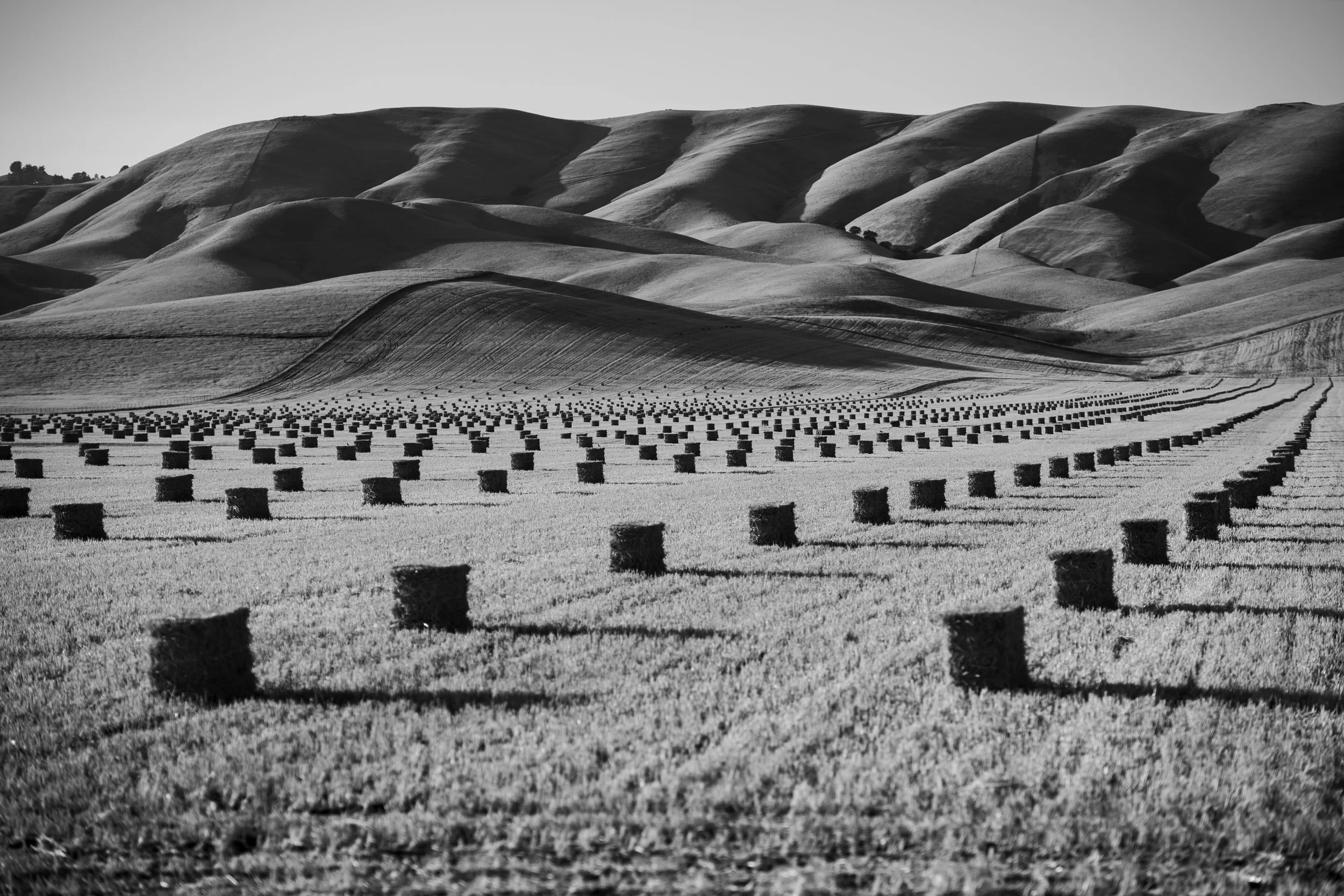 20250710livermore01.jpg
