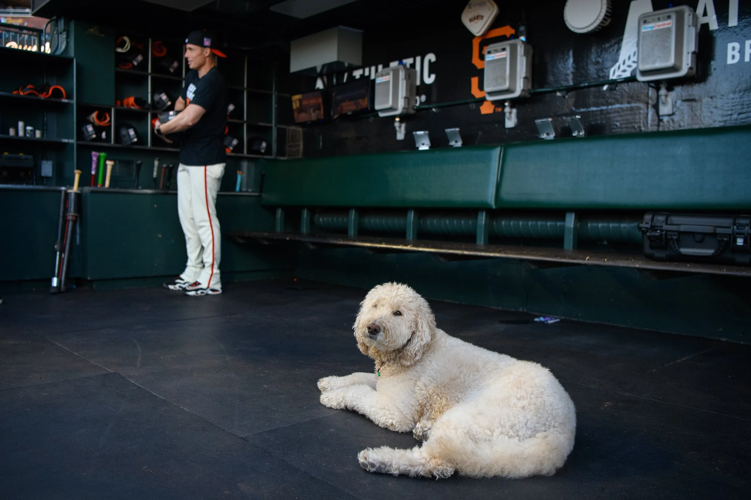 BNG-L-GIANTS-0725-09.jpg