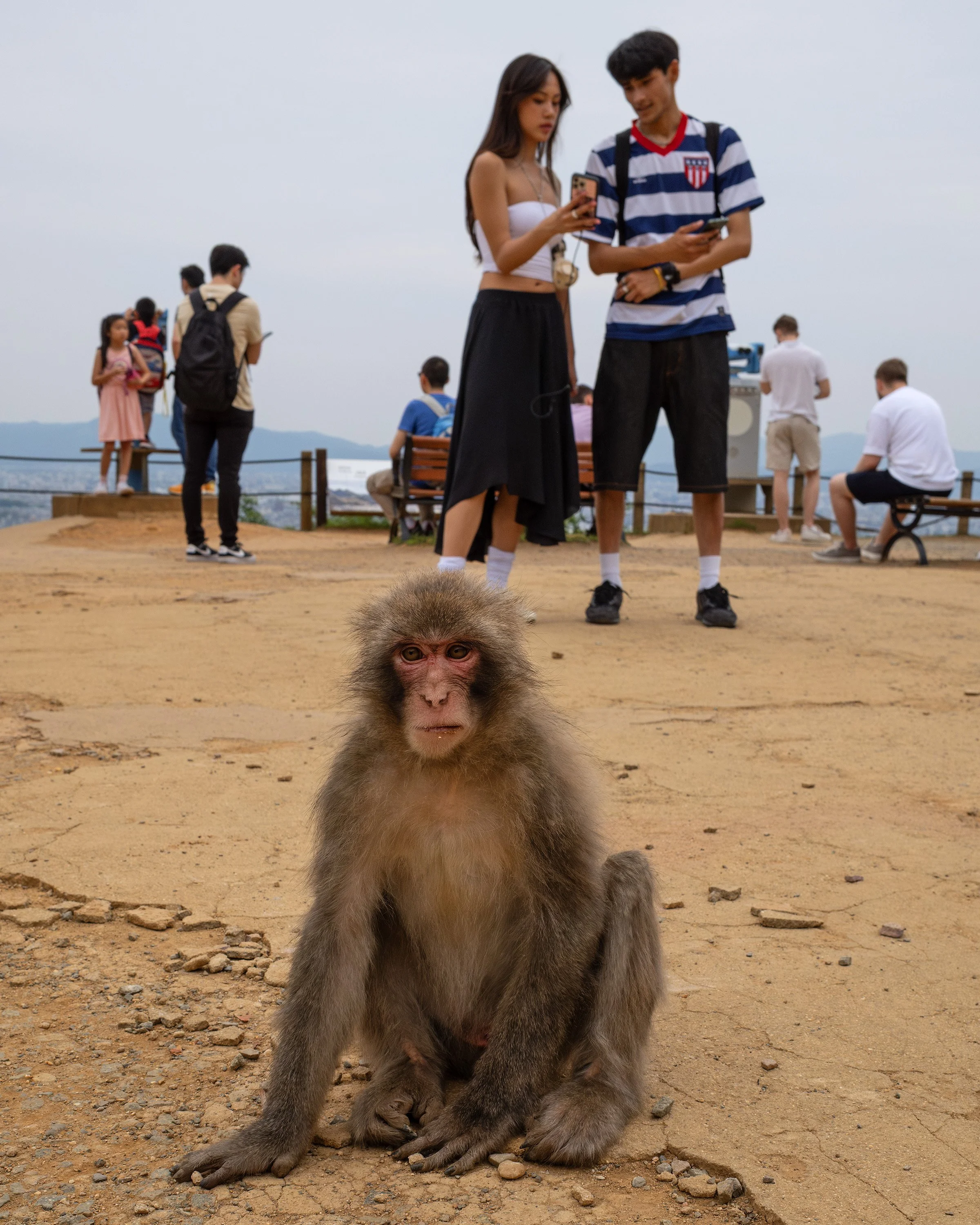 20250602kyoto12.jpg