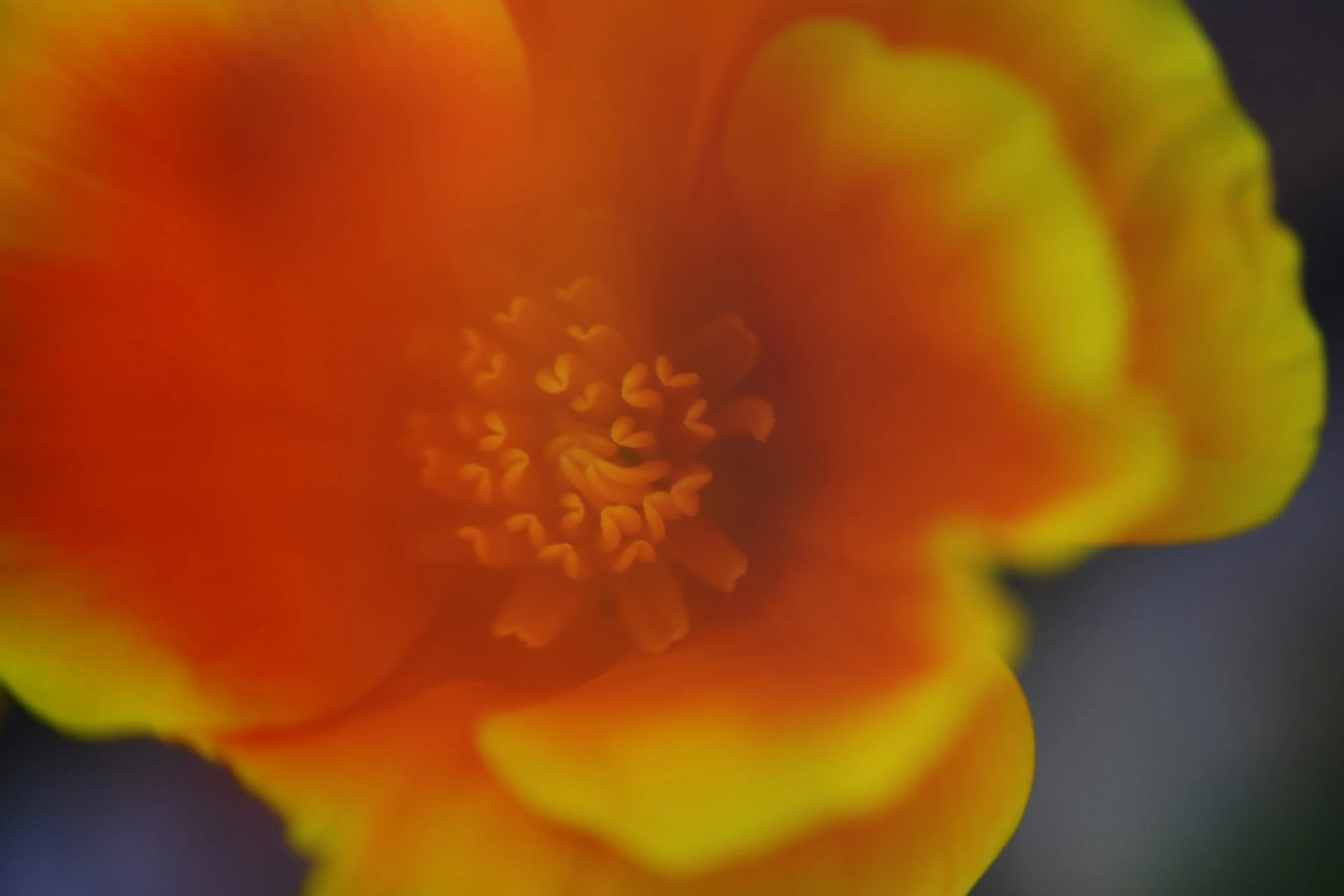 20220322shell02.jpg