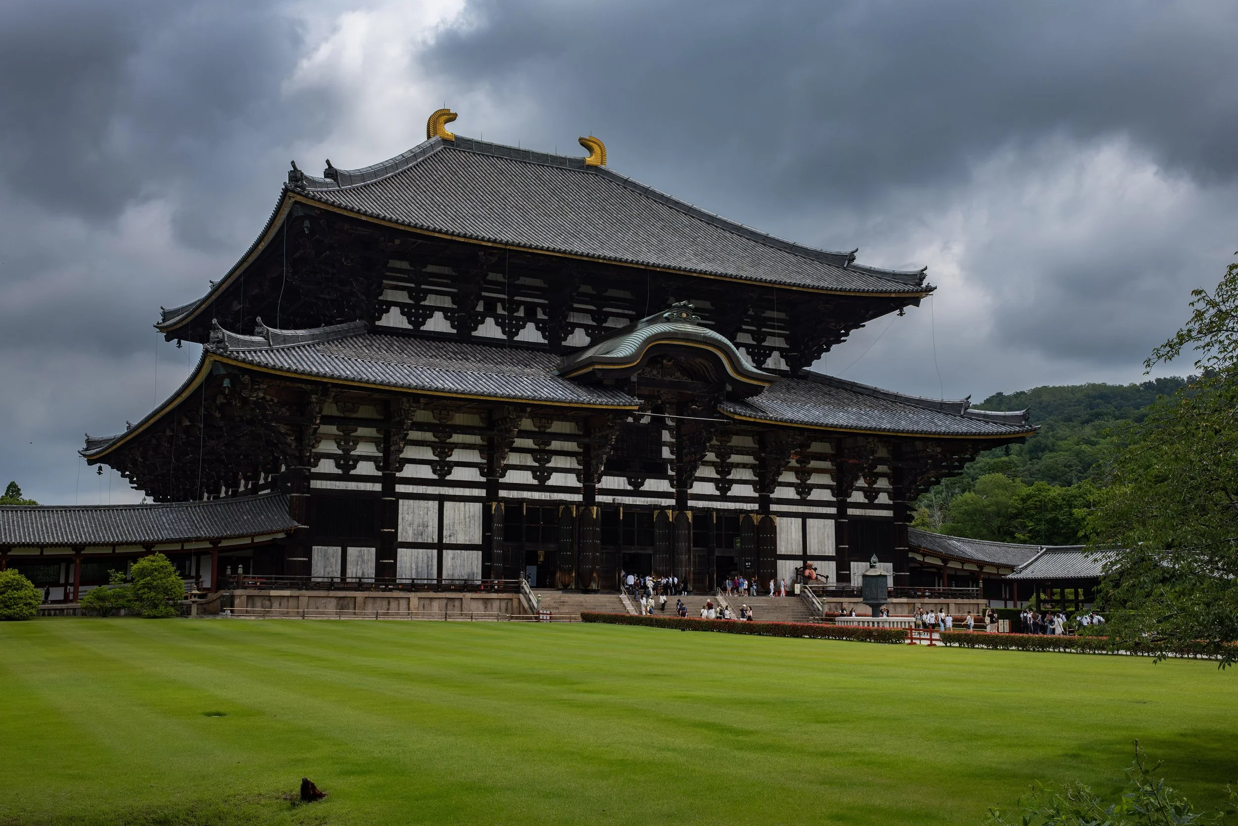 20250604nara04.jpg