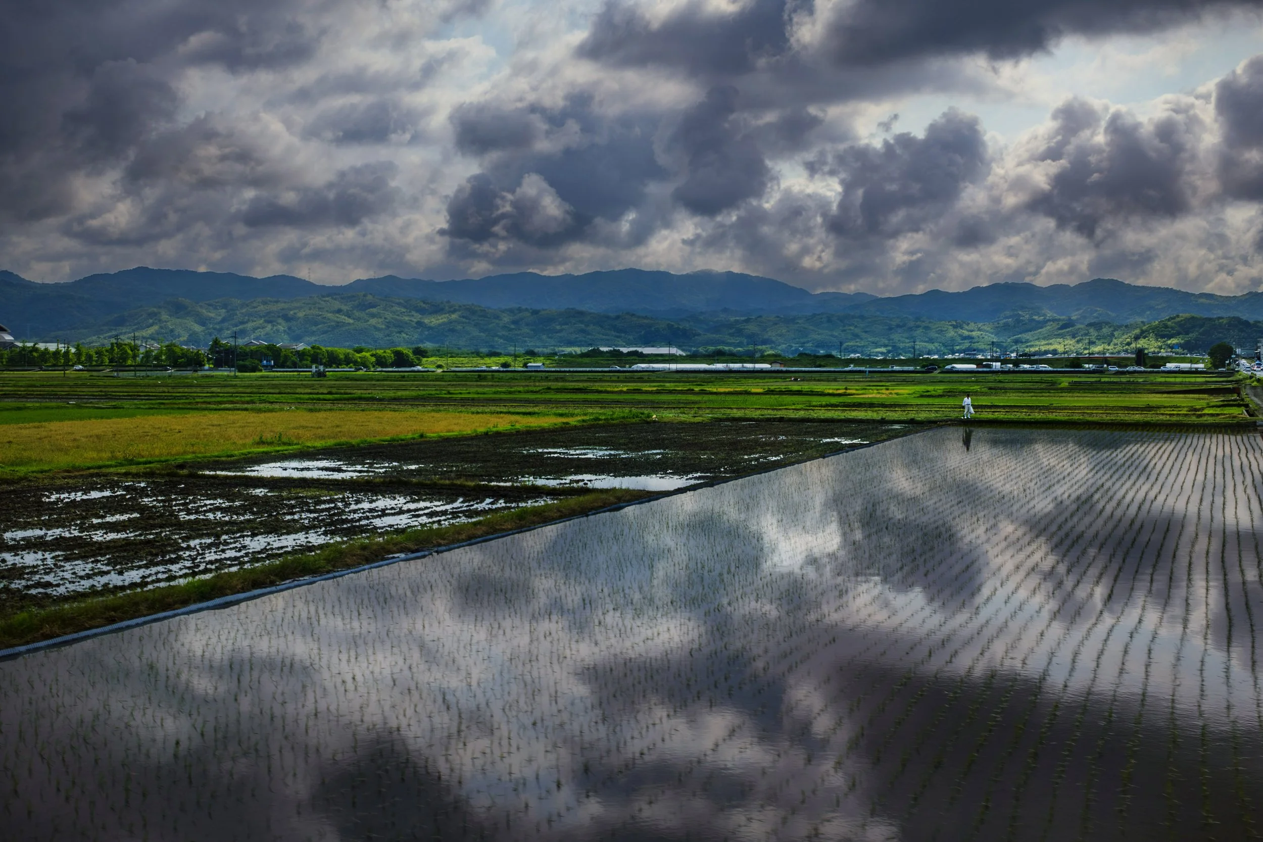 20250604nara05.jpg