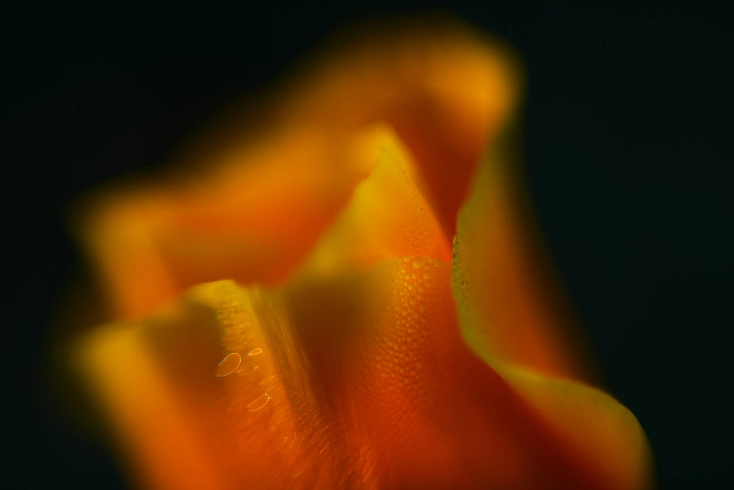 20220325shell02.jpg