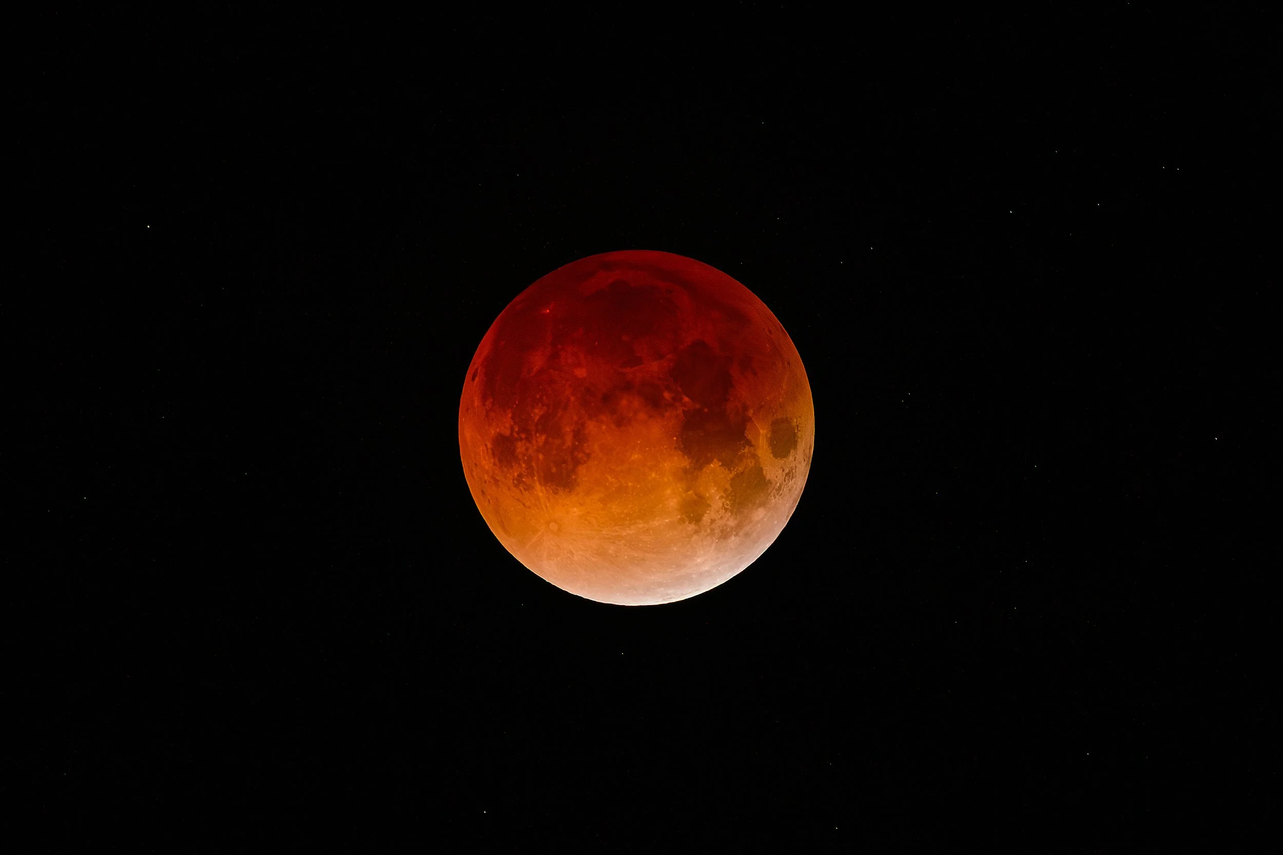fajardo52.JPG