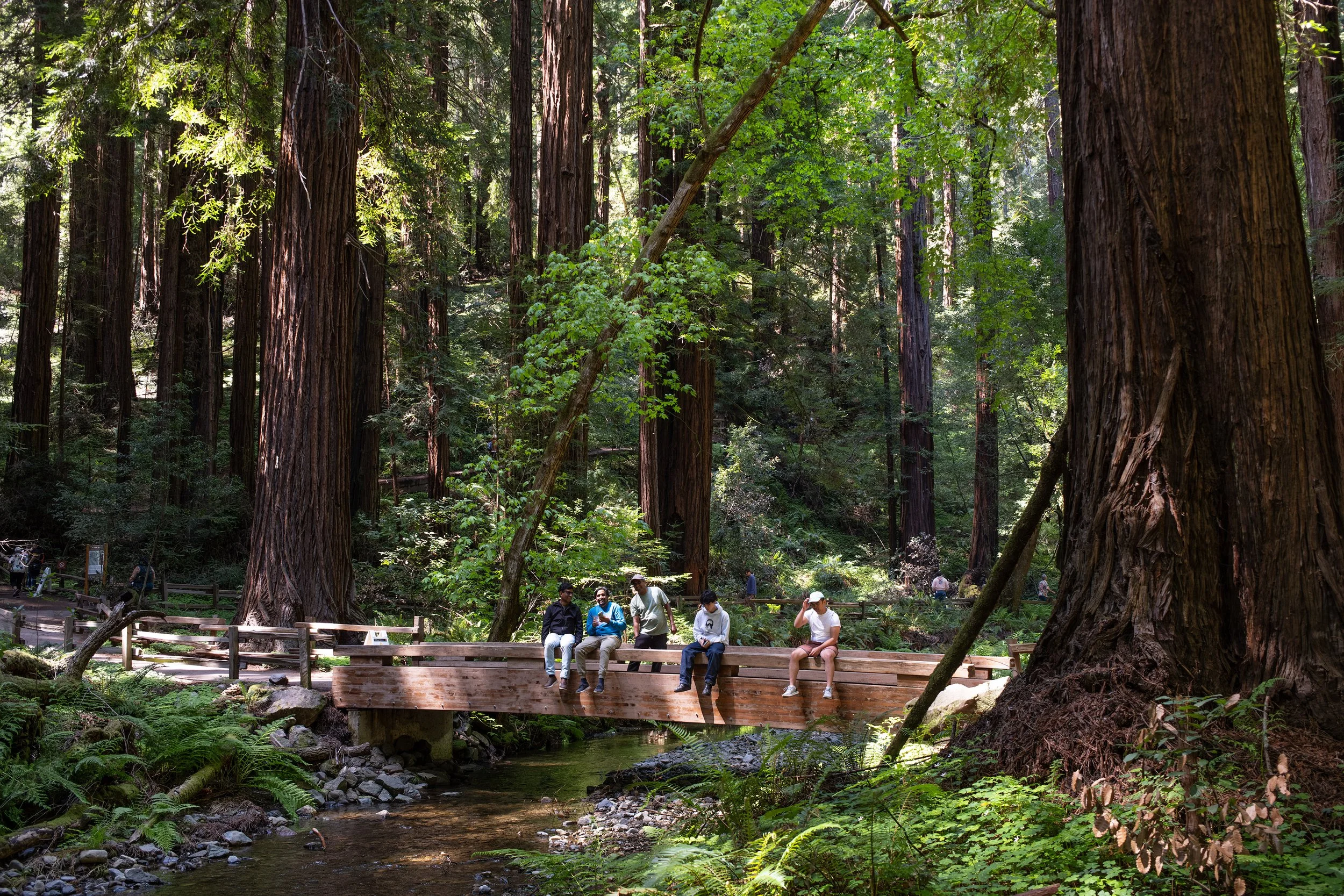 20250413muirwoods05.jpg