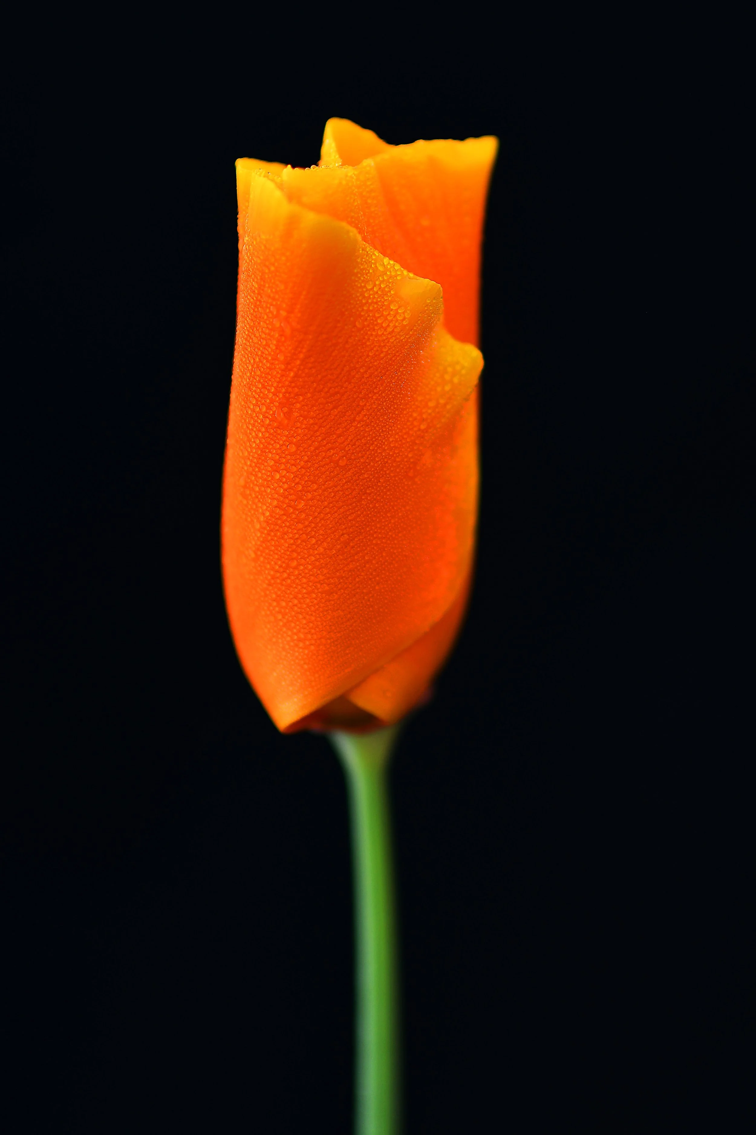 20220316shell10.jpg