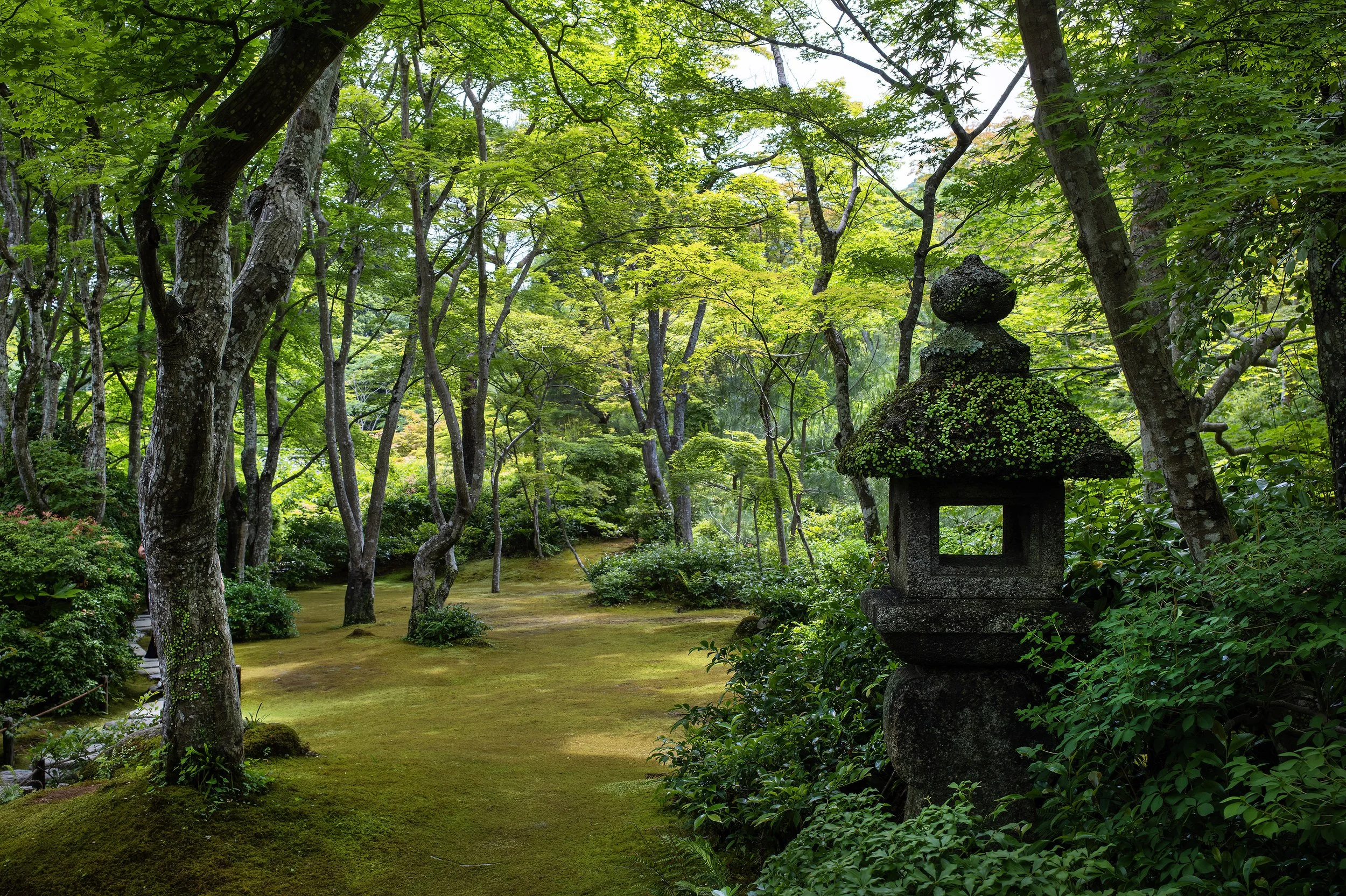 20250602kyoto02.jpg