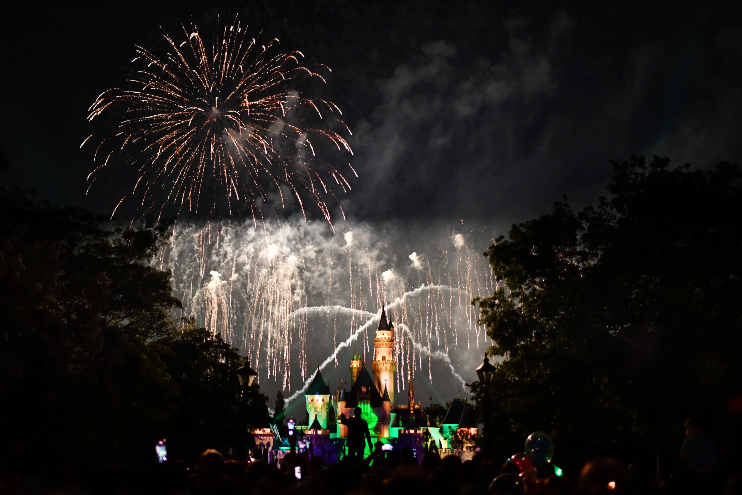 2021disneyland24.jpg