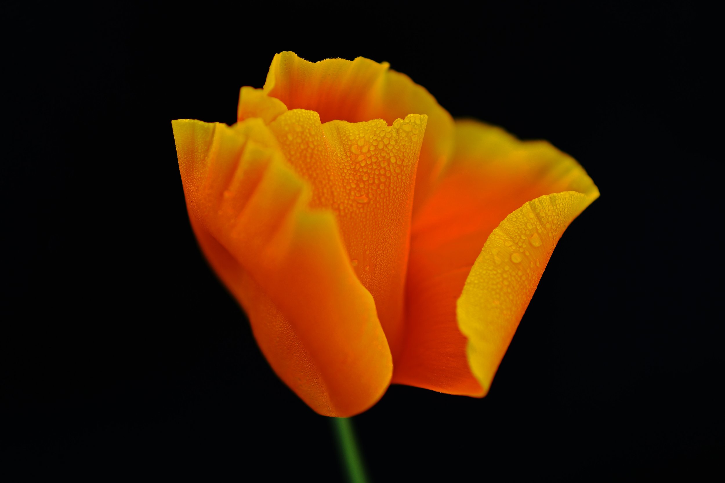 20220316shell03.jpg