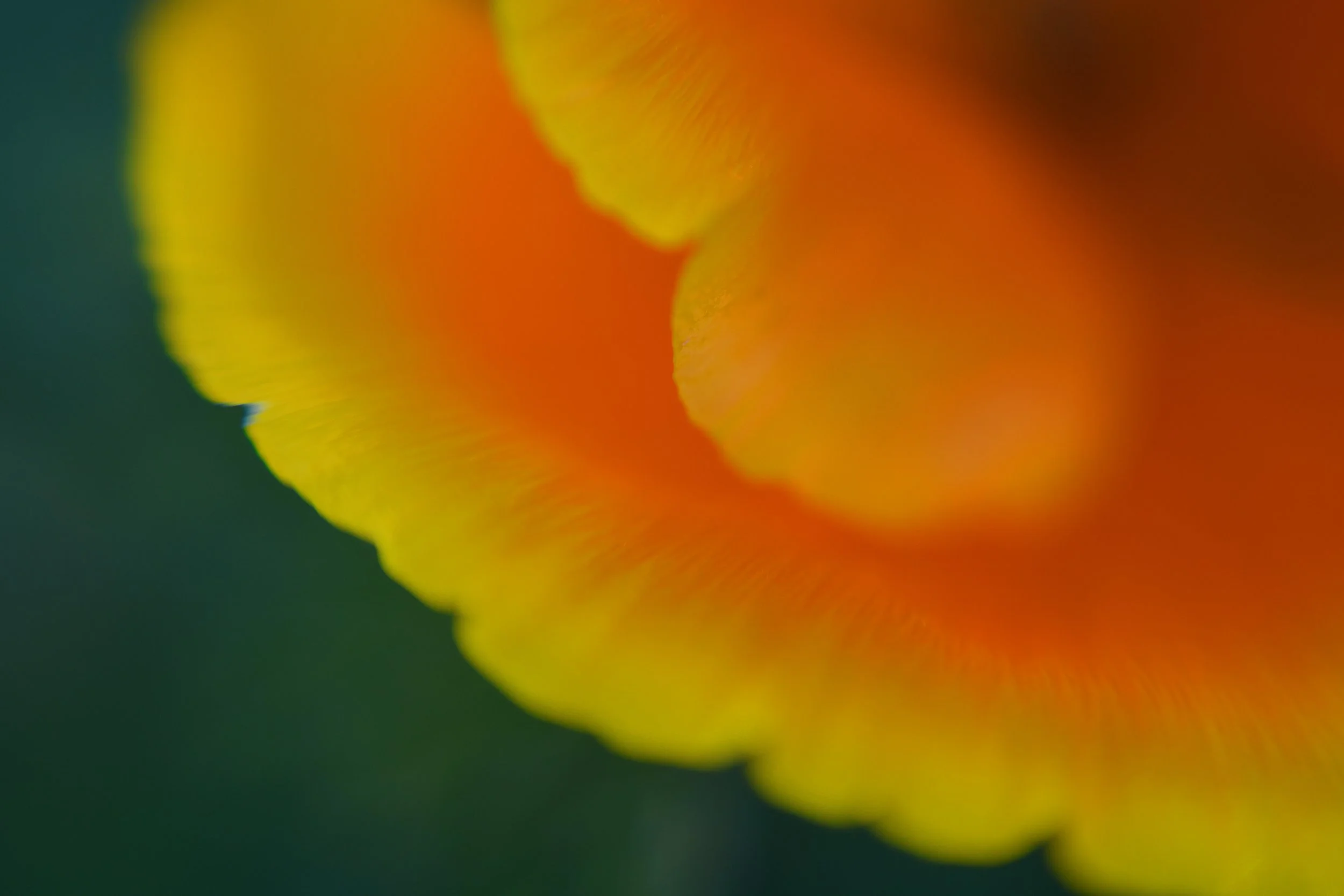 20220322shell04.jpg