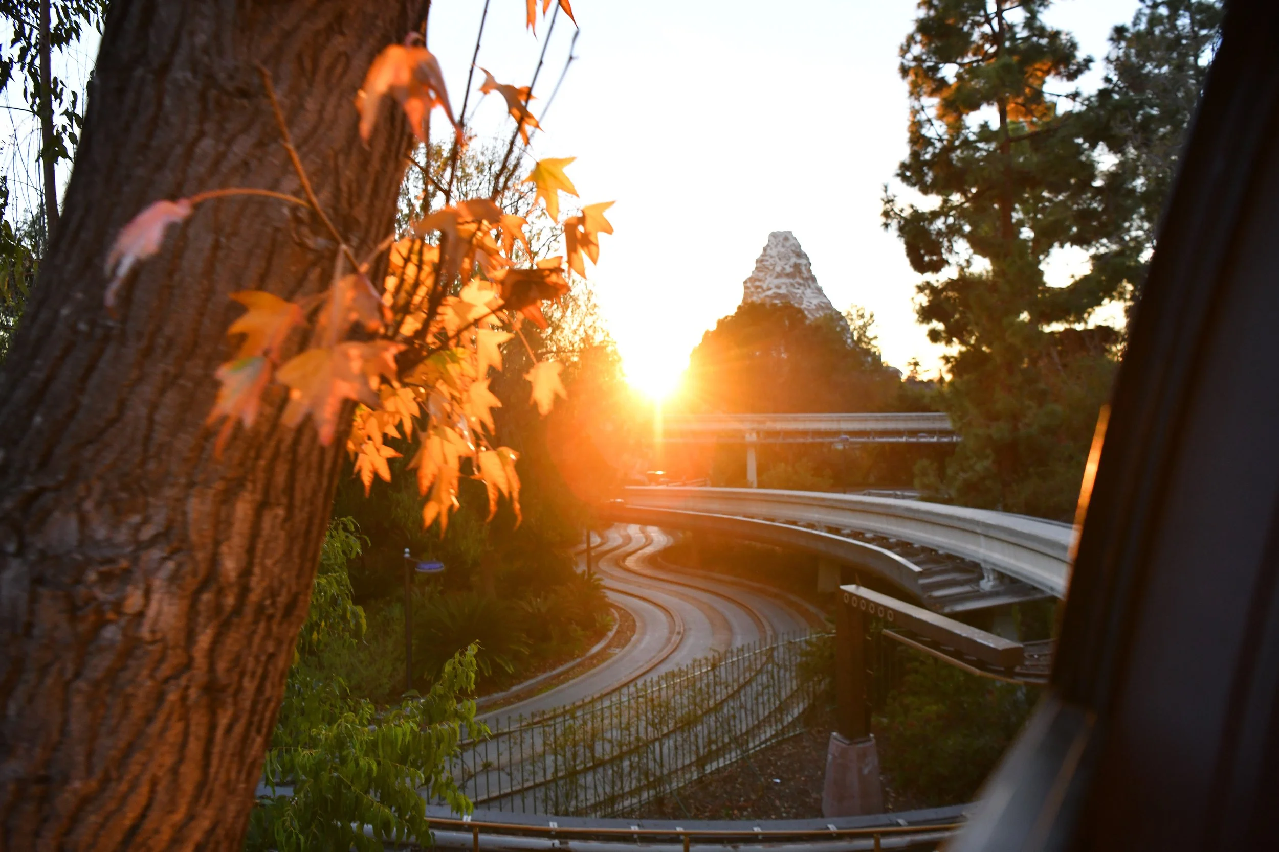 2022disneyland01.jpg