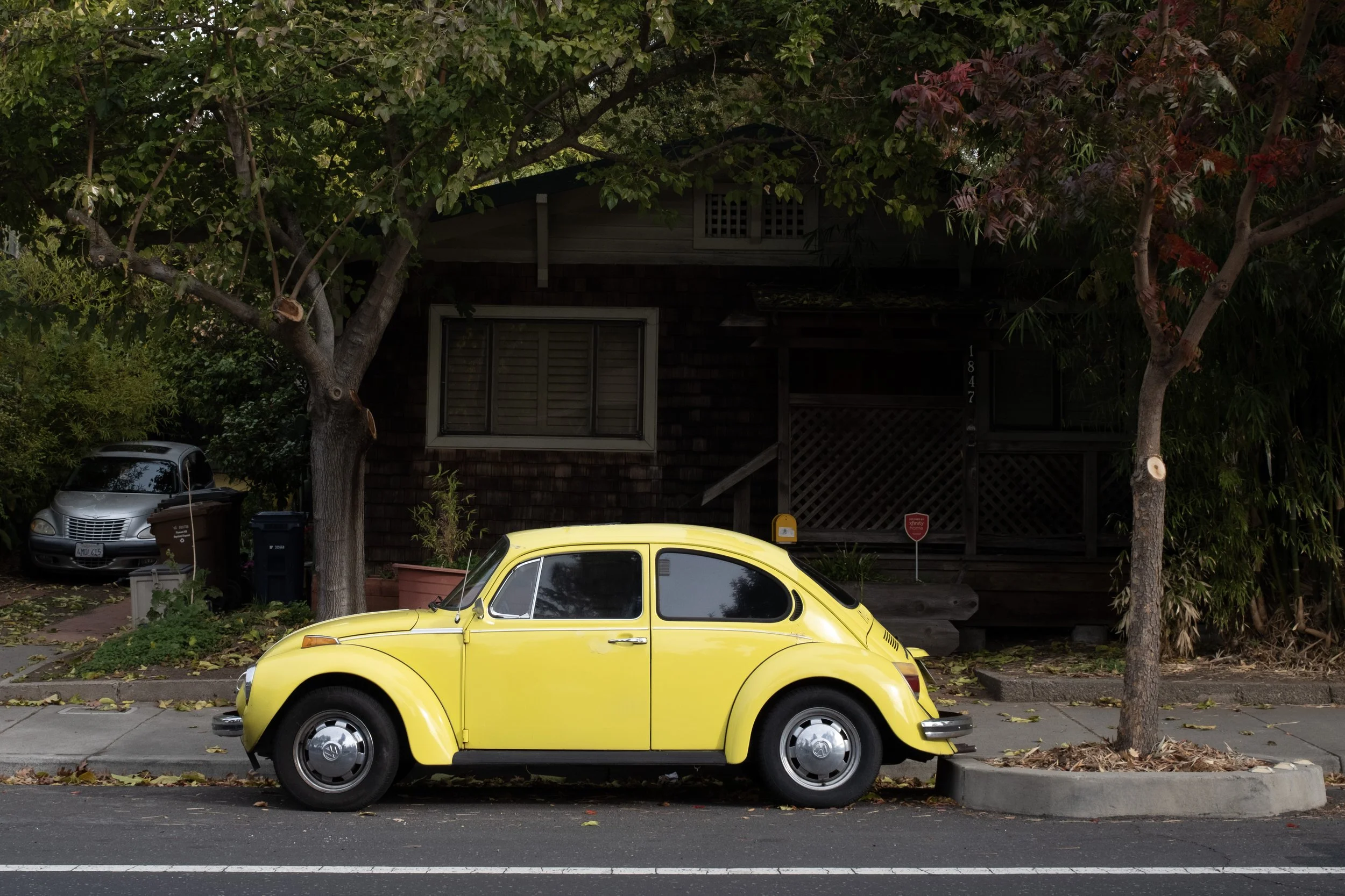 20241119bug.jpg