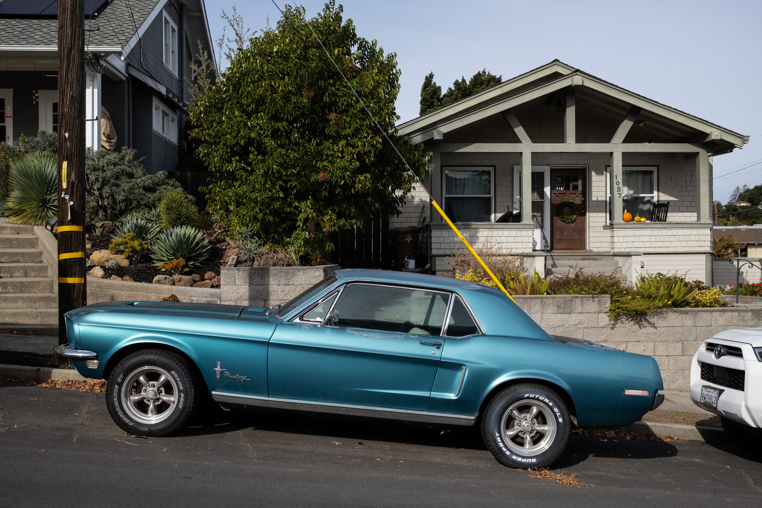 20241119mustang.jpg