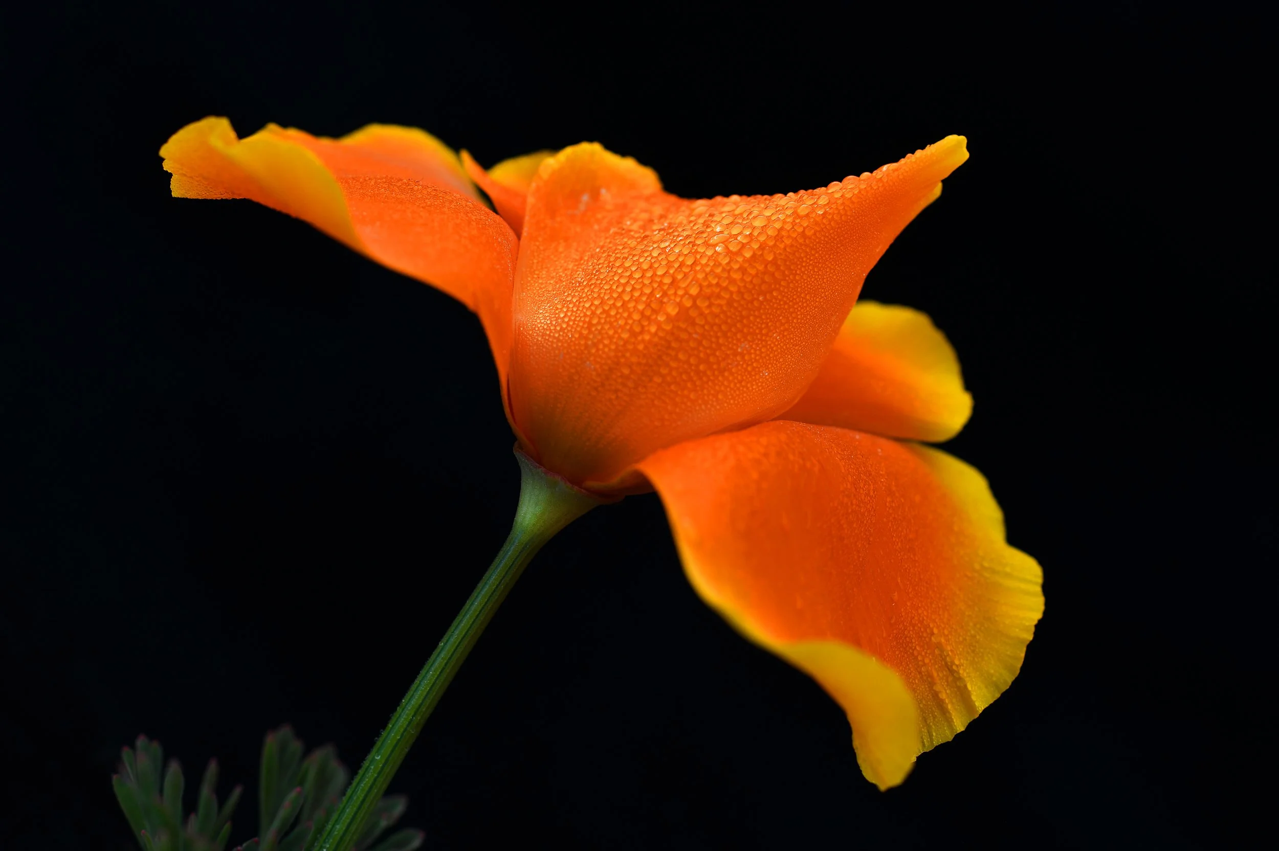 20220316shell01.jpg