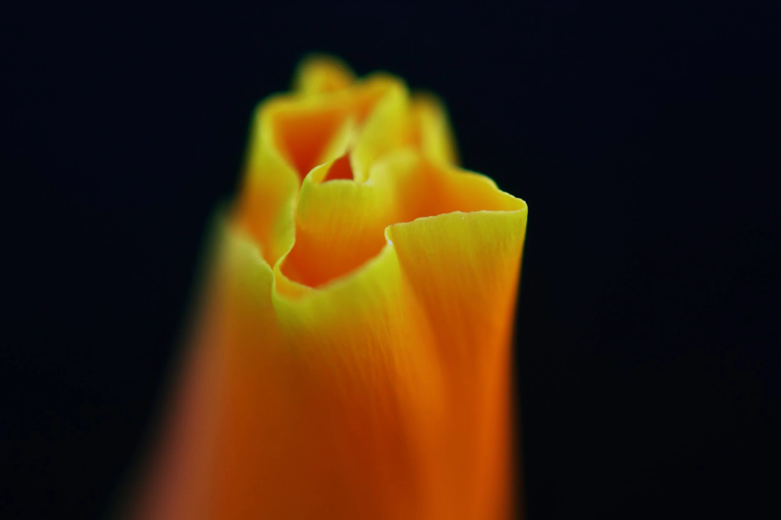 20220322shell10.jpg
