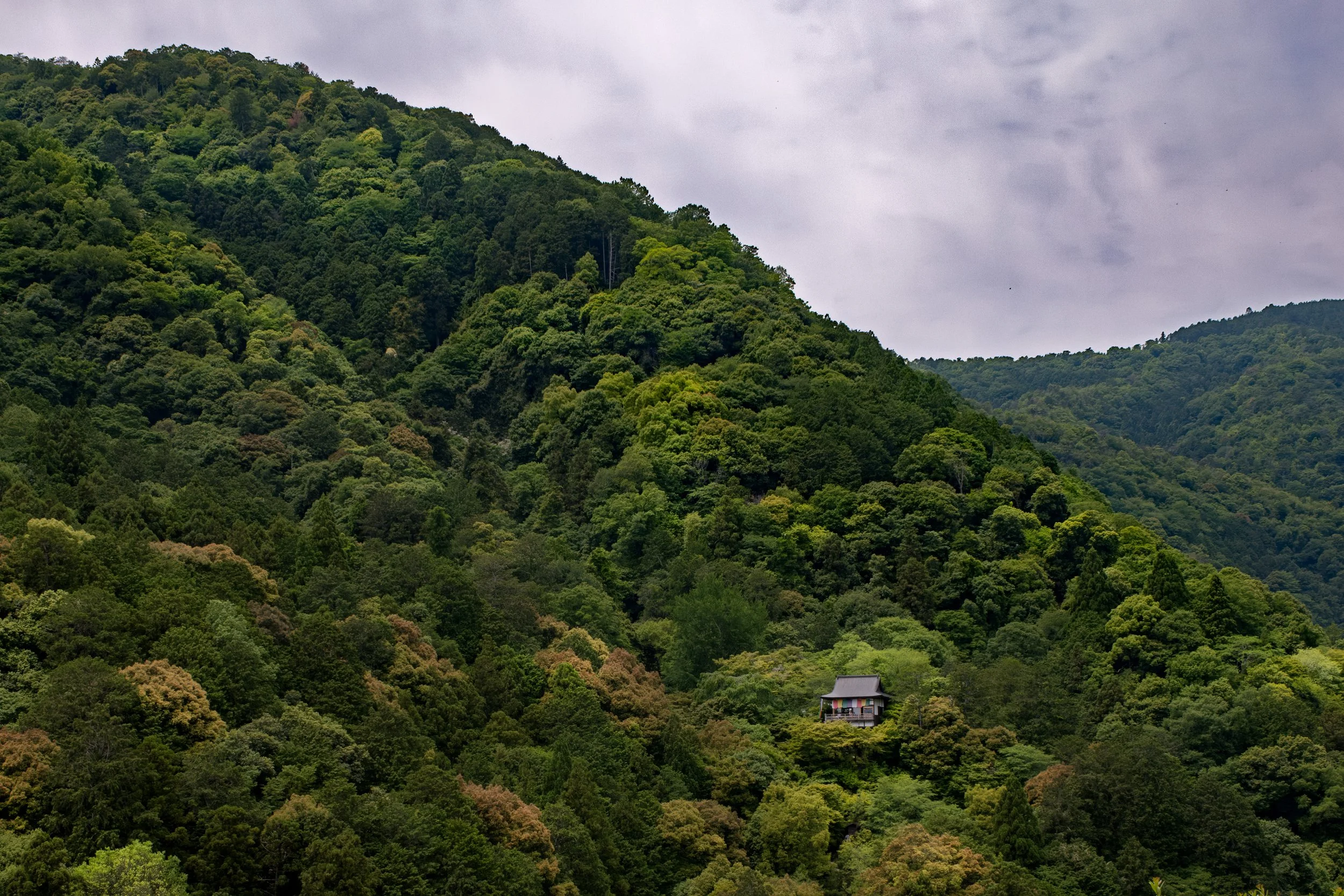 20250602kyoto09.jpg