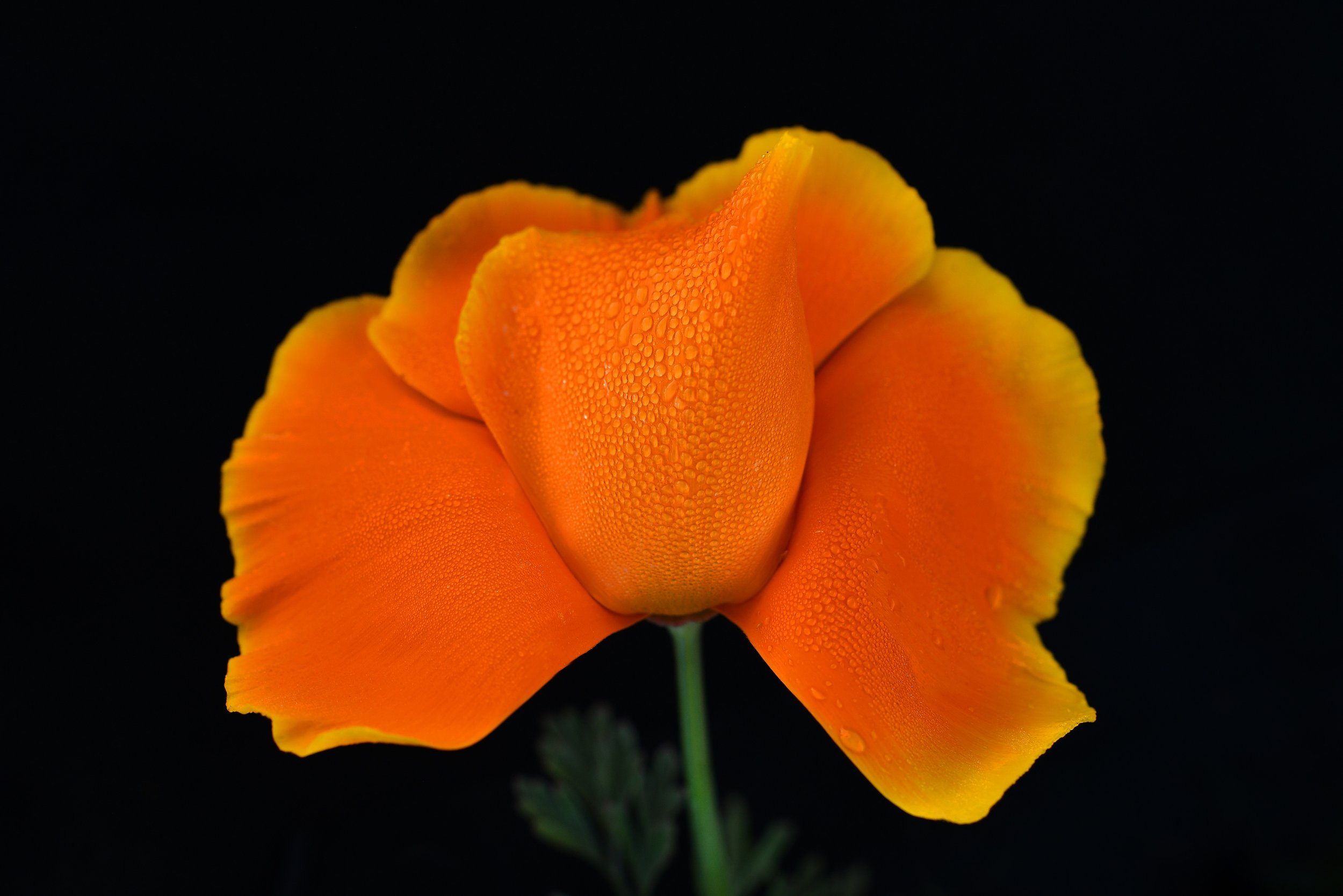 20220316shell06.jpg