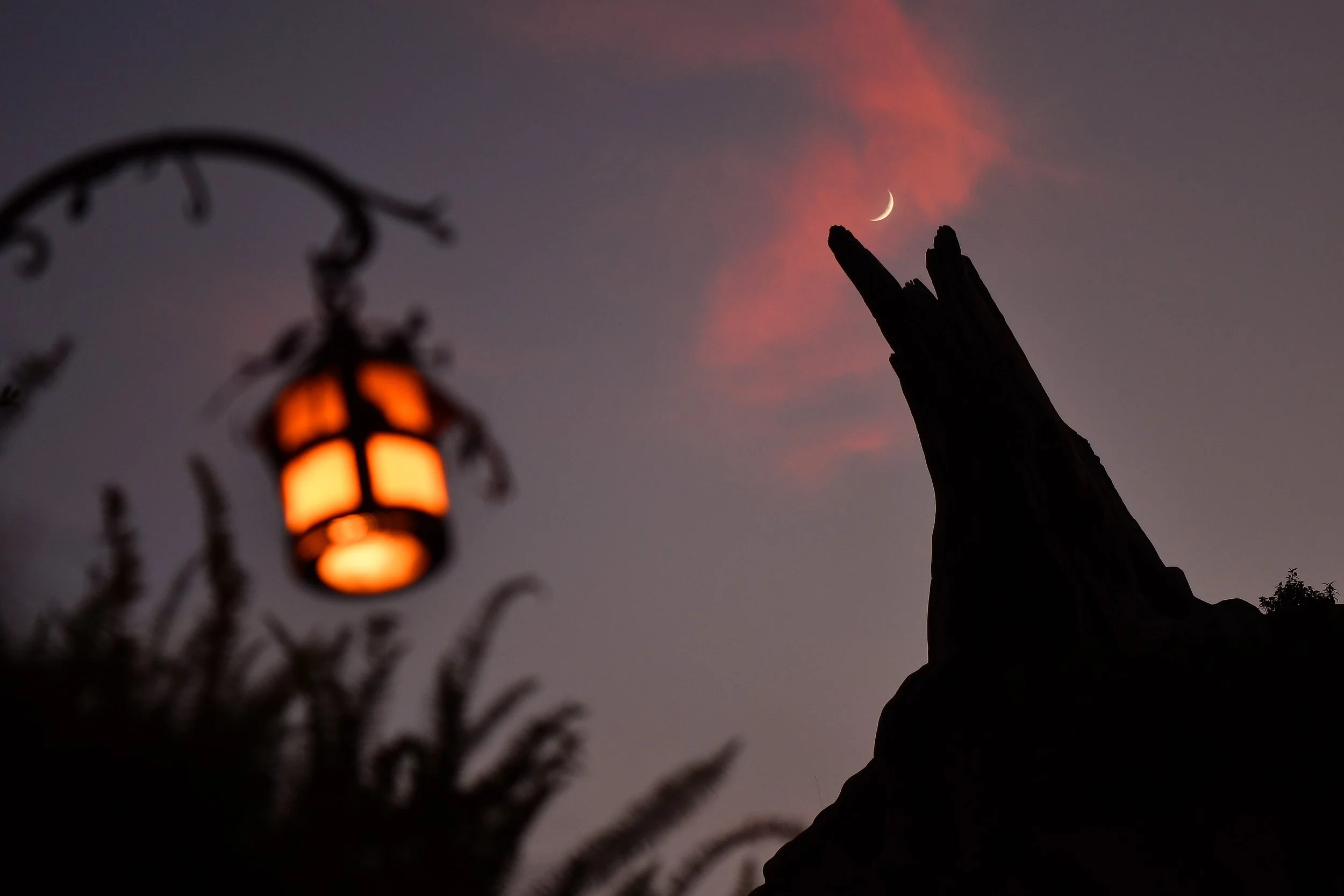 2022disneyland02.jpg