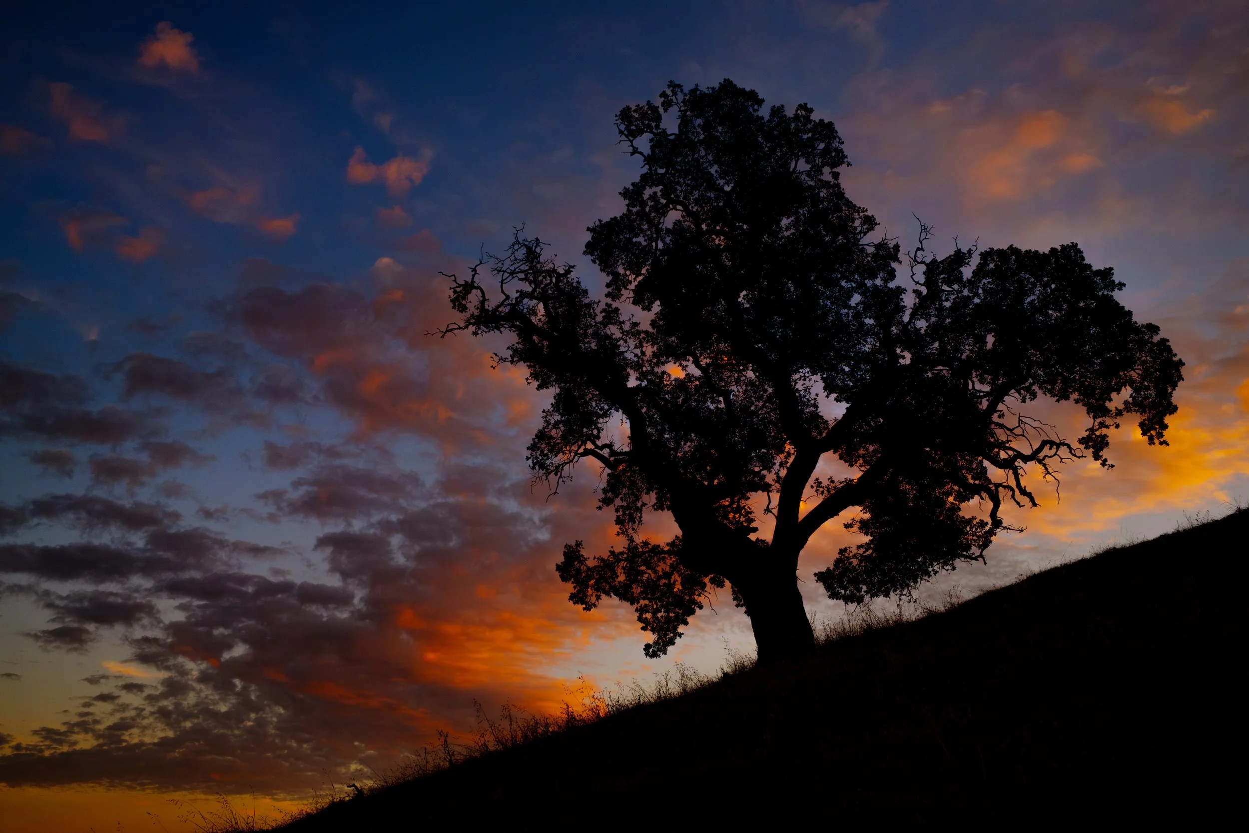 EBT-L-CLOCLOUDS-1031-02.jpg