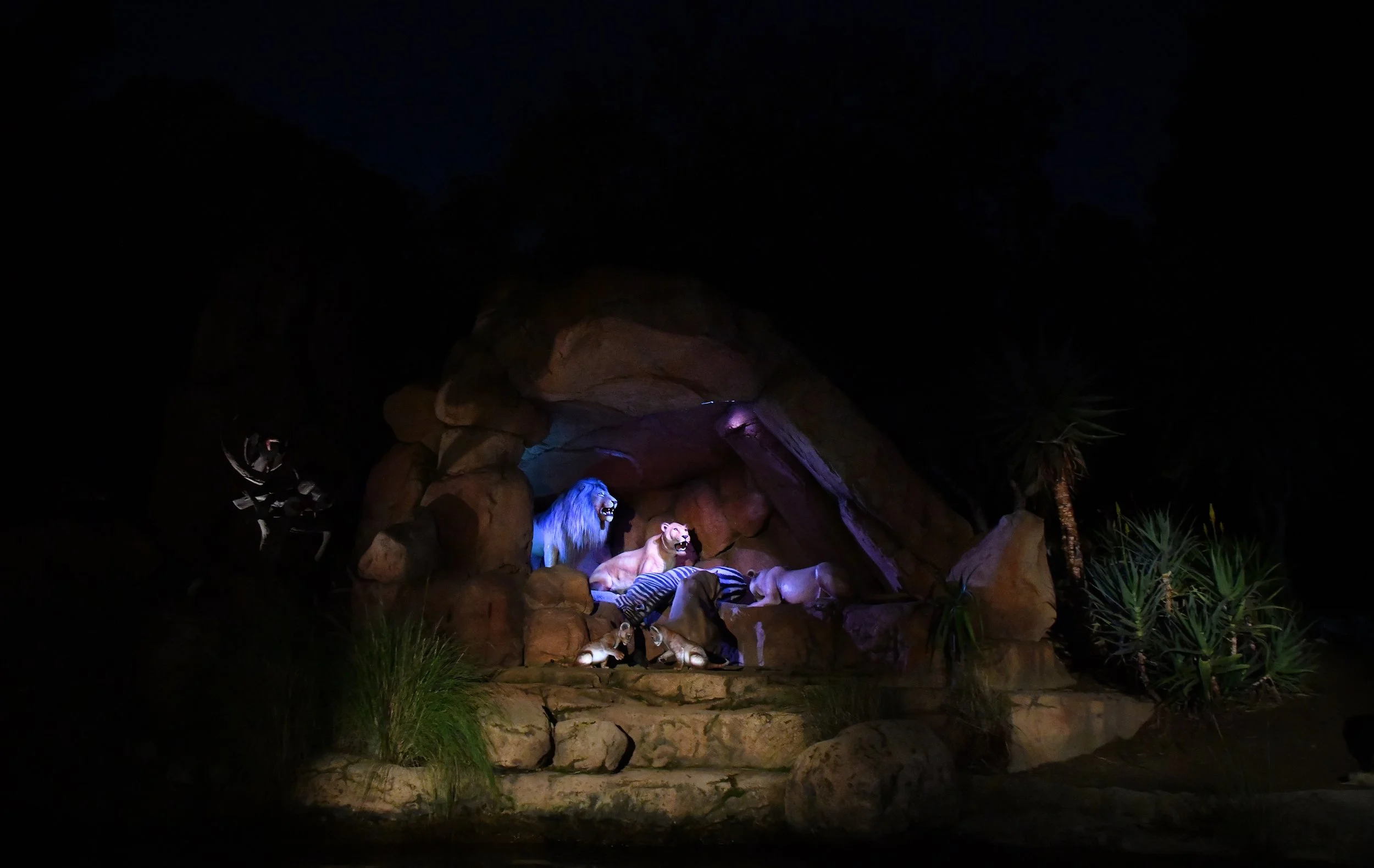 2022disneyland12.jpg