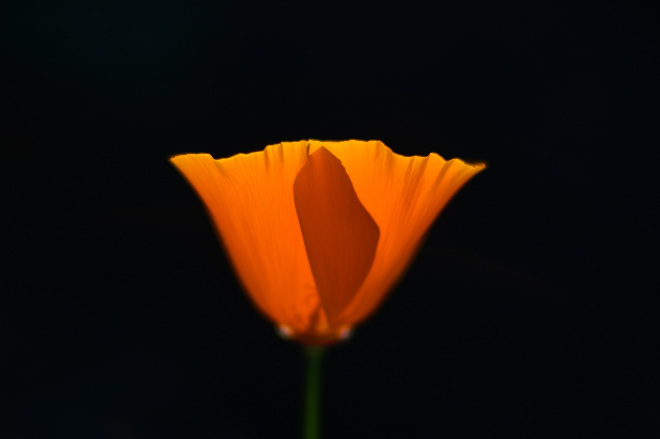 20220322shell09.jpg