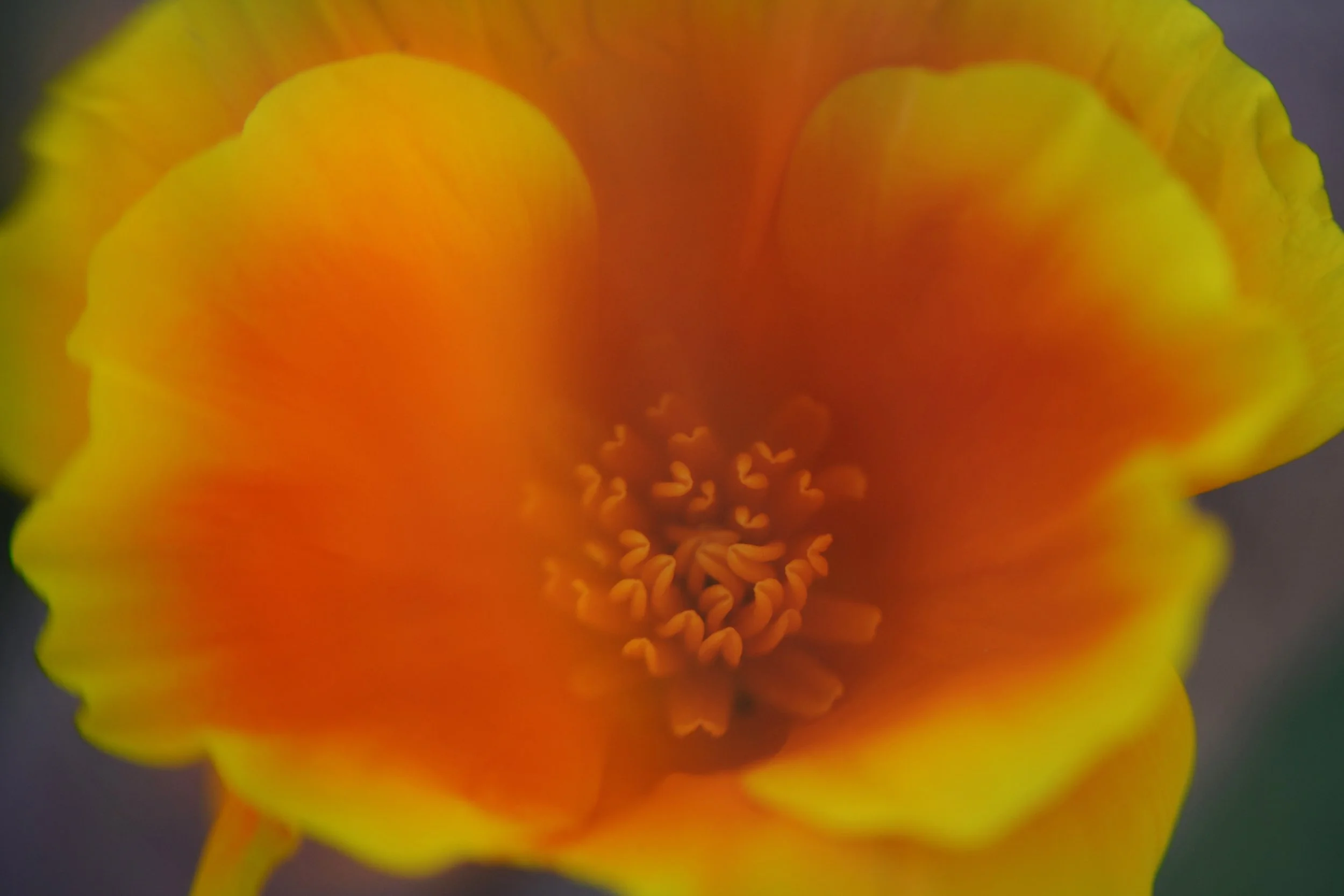 20220322shell12.jpg