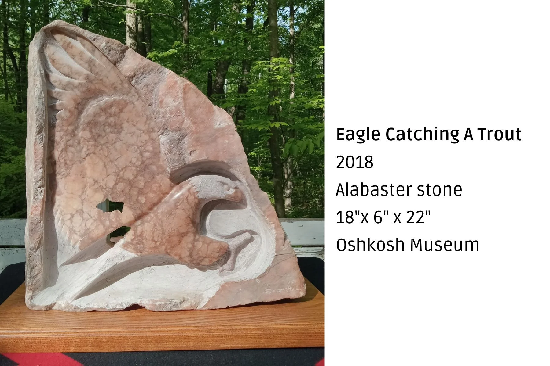 A carved alabaster stone sculpture of an eagle catching a trout, displayed outdoors with a background of green trees. The sculpture measures 18 inches by 6 inches by 22 inches, and is located at the Oshkosh Museum.