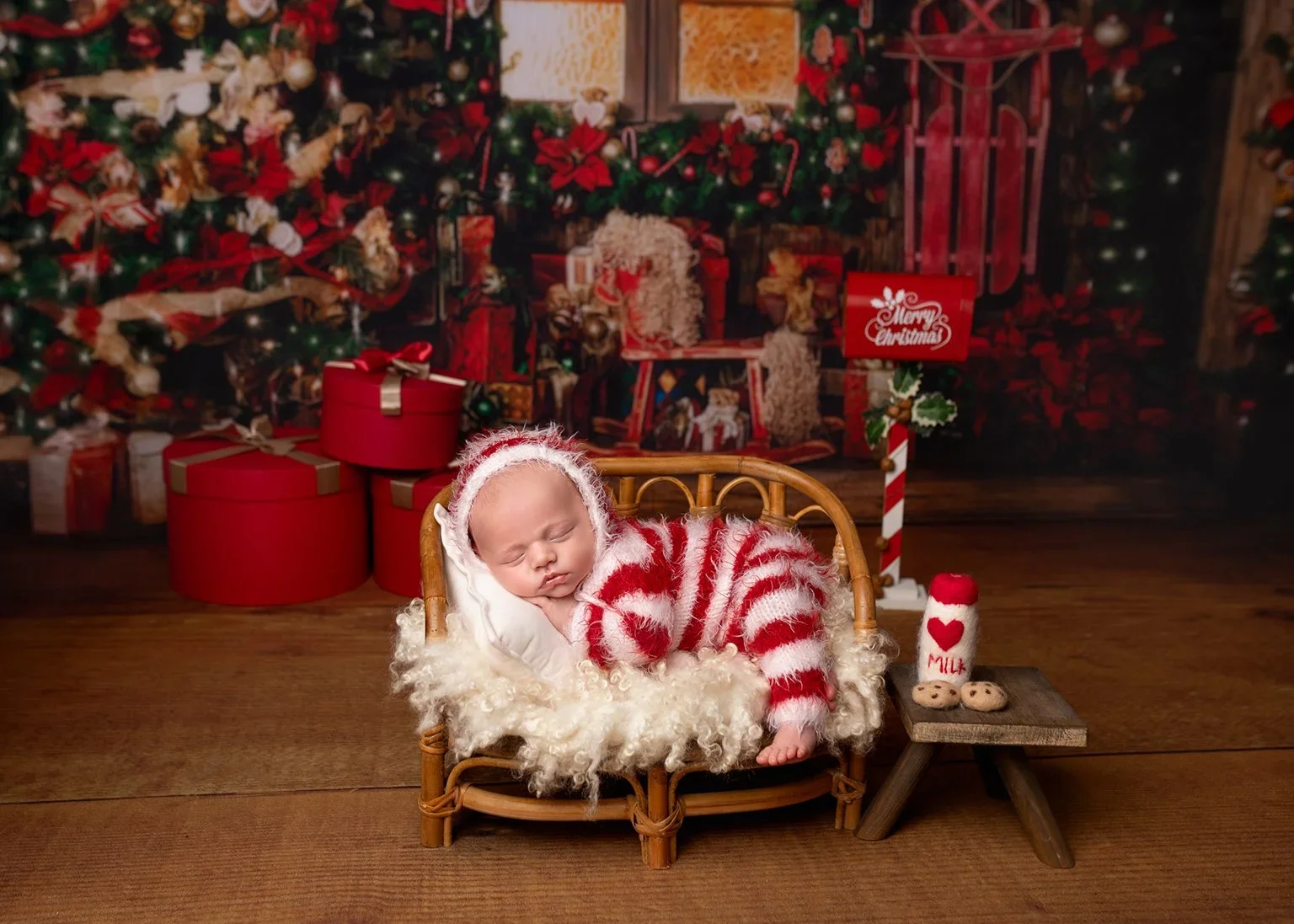 Christmas Photoshoot