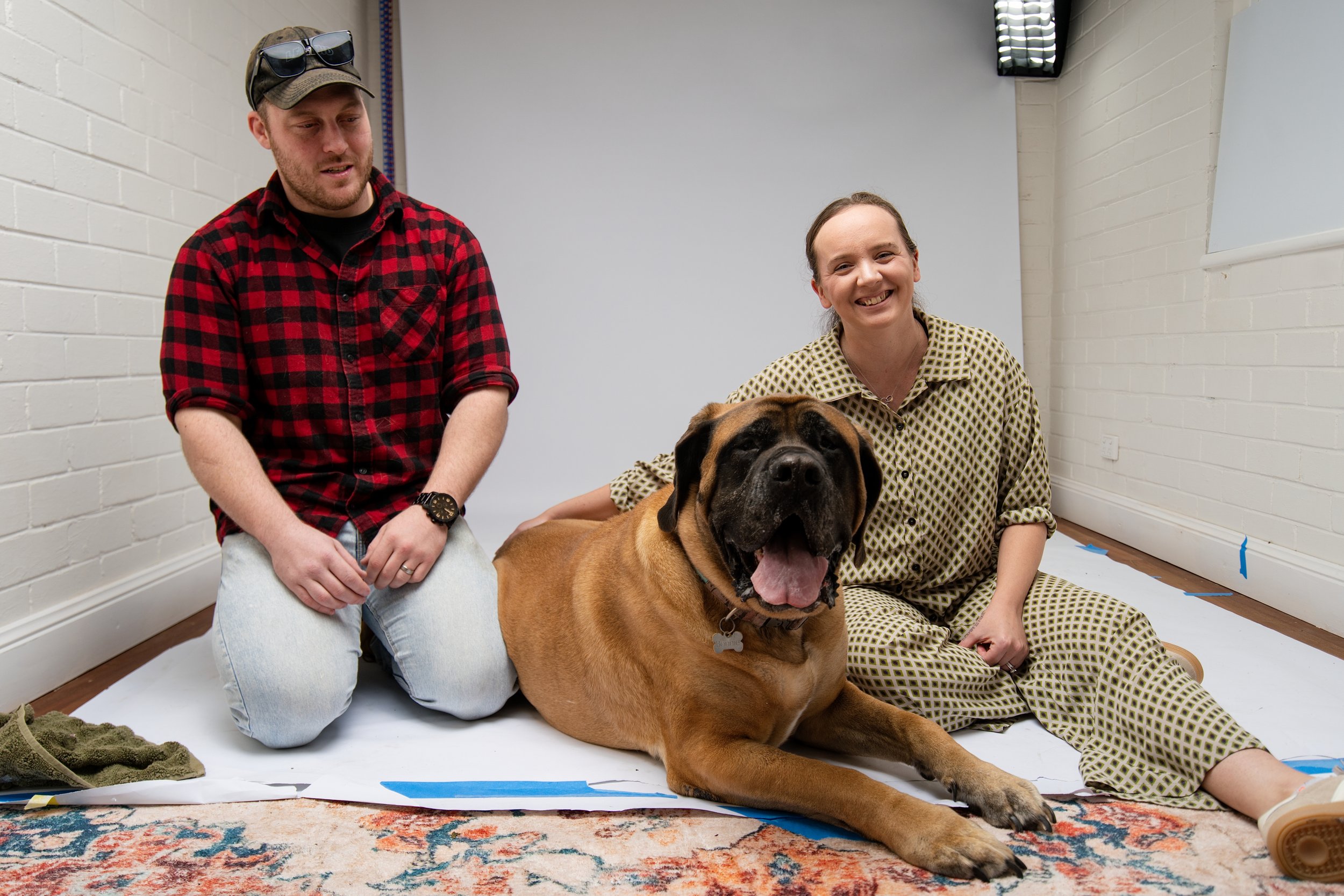 Bowral Studio Pet Photography