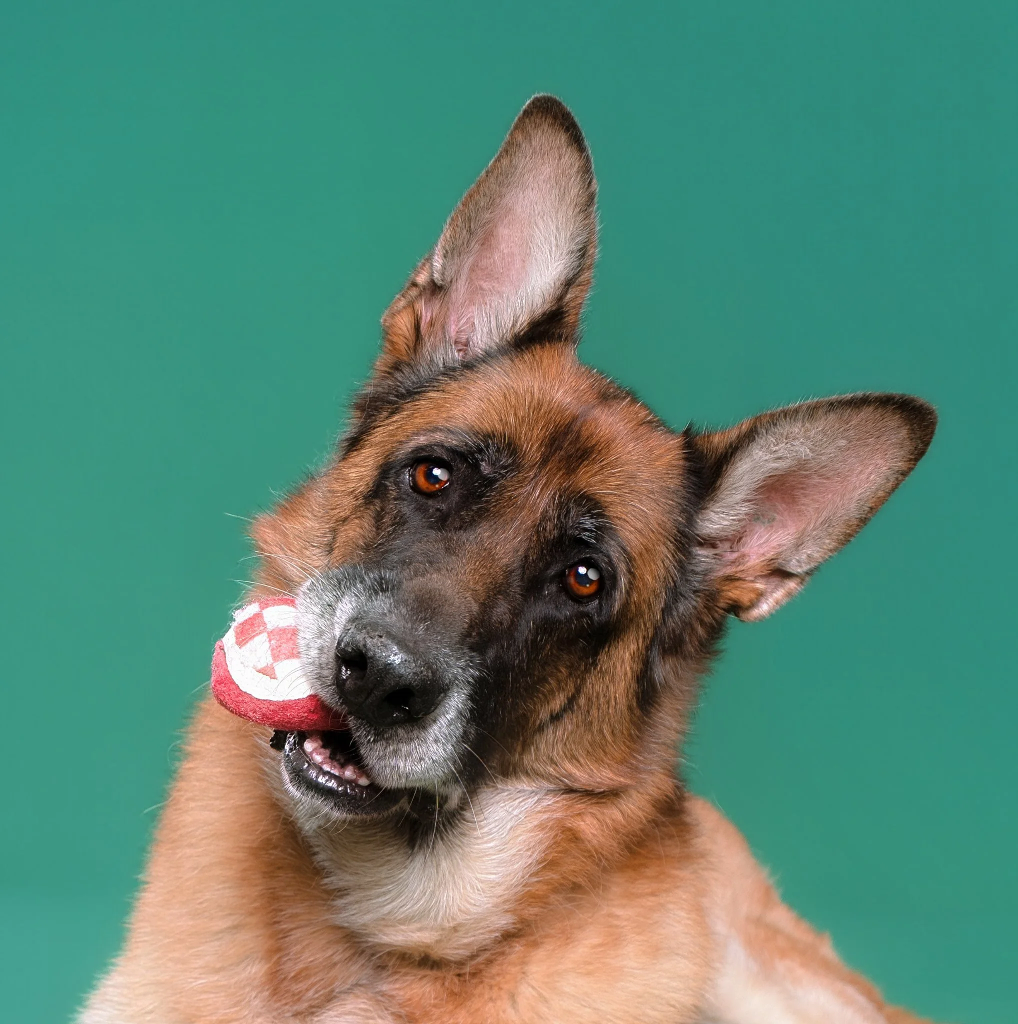 ©HeadshotCollective-(2 of 4).jpg