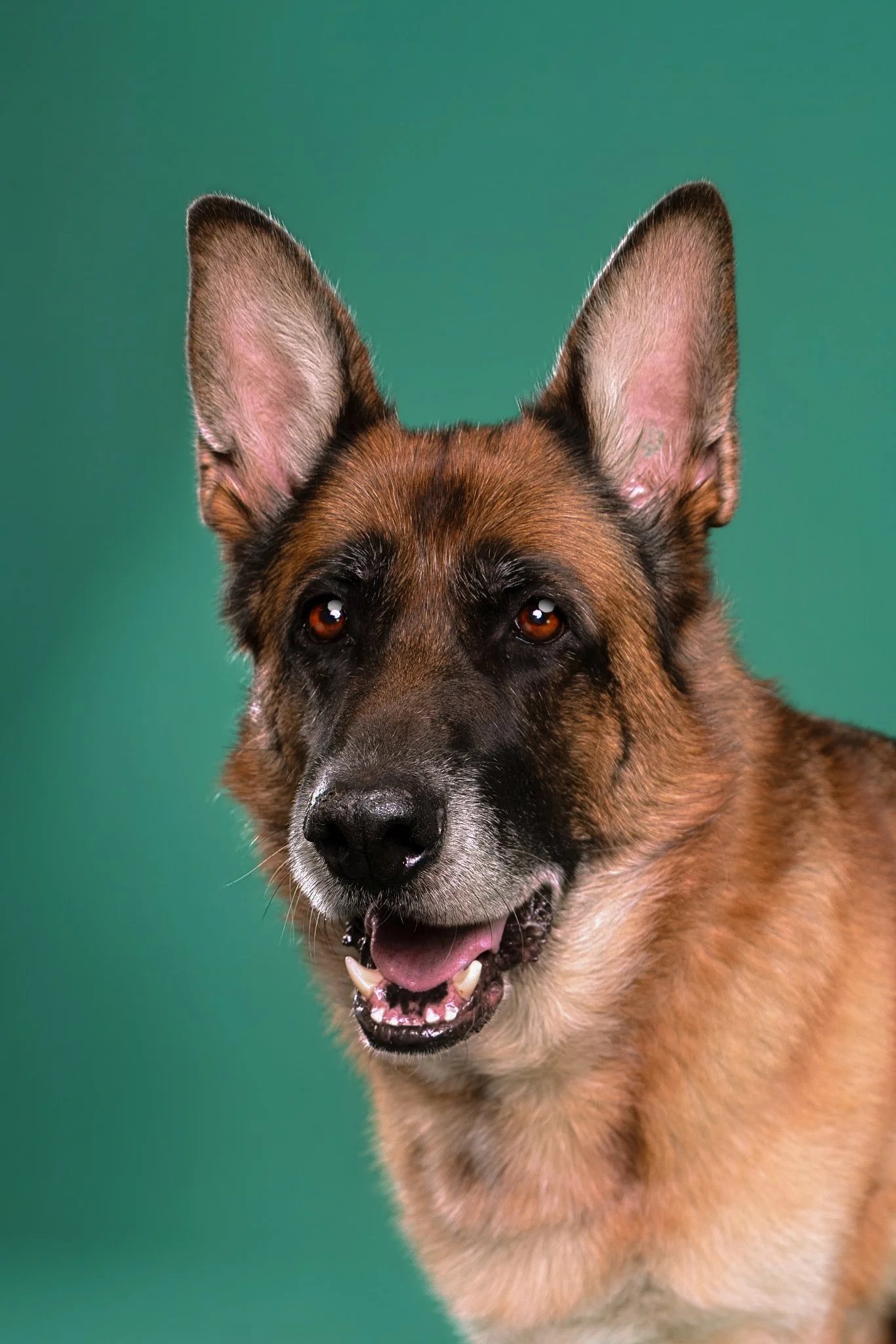 ©HeadshotCollective-(4 of 4).jpg