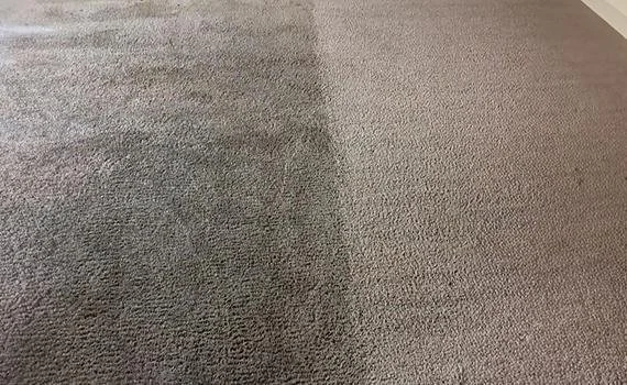 professional-carpet-cleaning-orlando.jpg