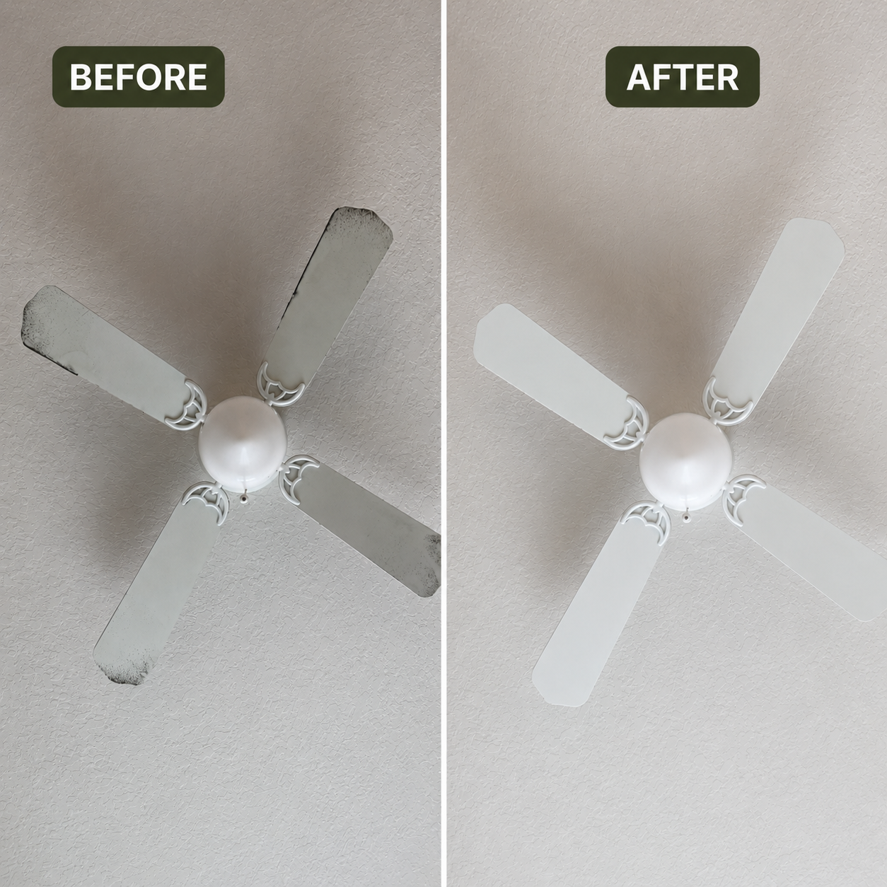 Fan deep cleaning before and after in Orlando, FL