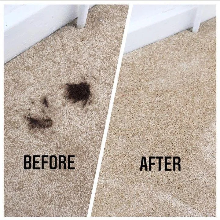 Side-by-side comparison of a dirty carpet with pet hair stains on the left and a clean carpet on the right.