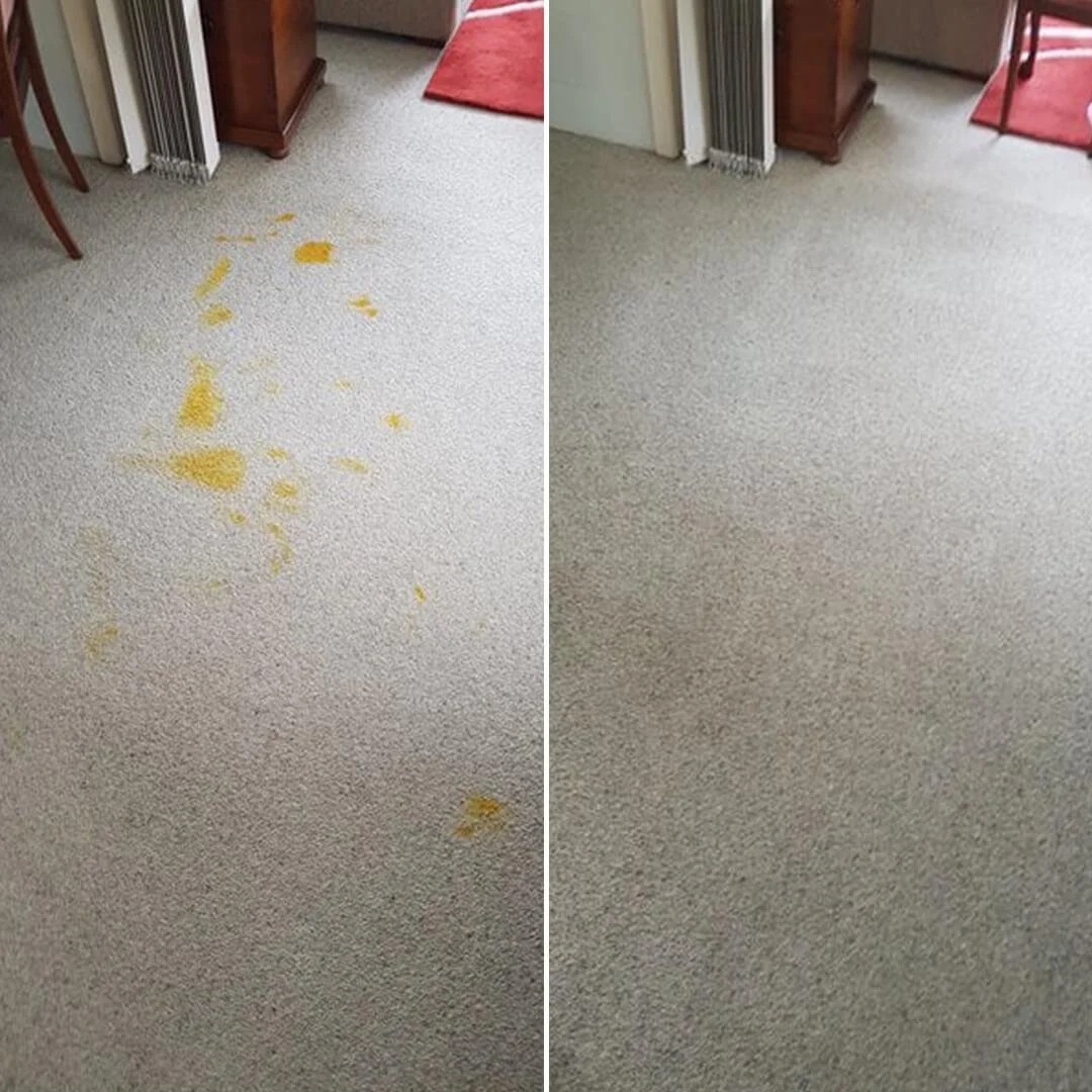 Comparison of a beige carpet with yellow spilled liquid on the left and a clean carpet on the right.