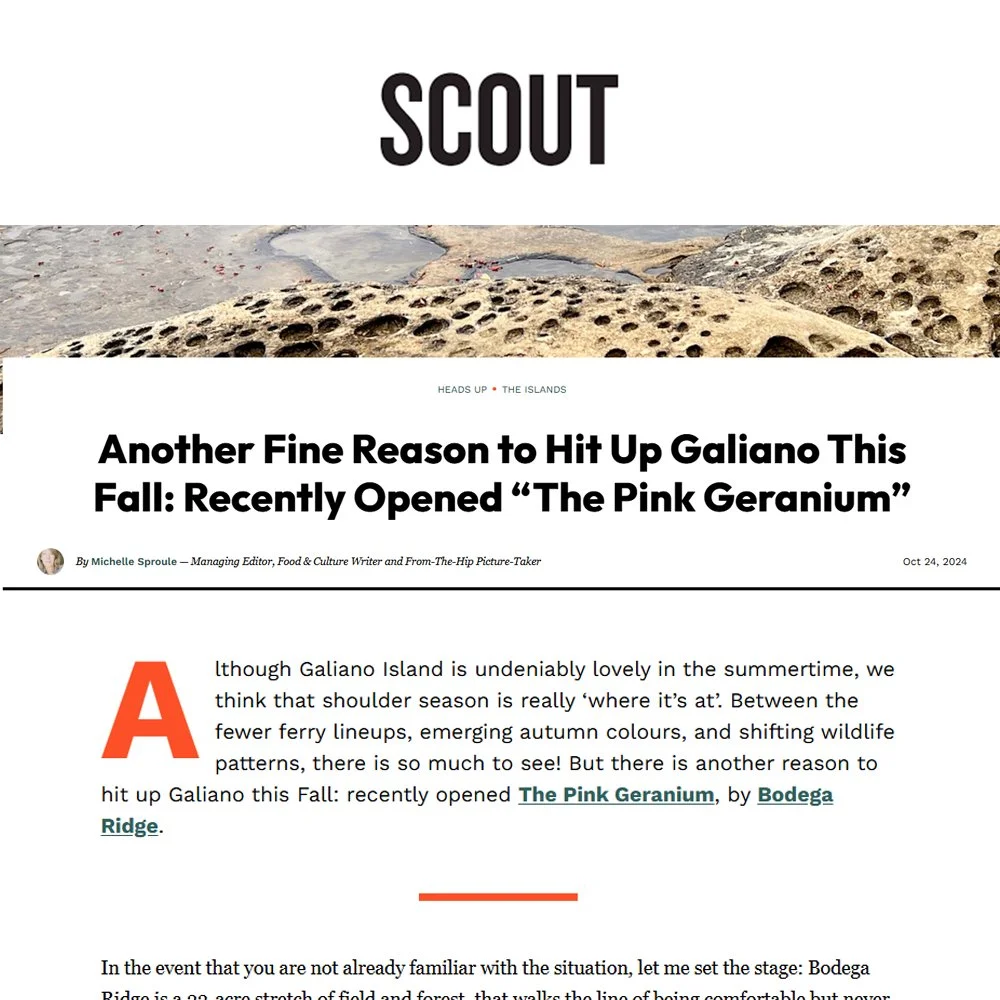Scout Magazine - Pink Geranium