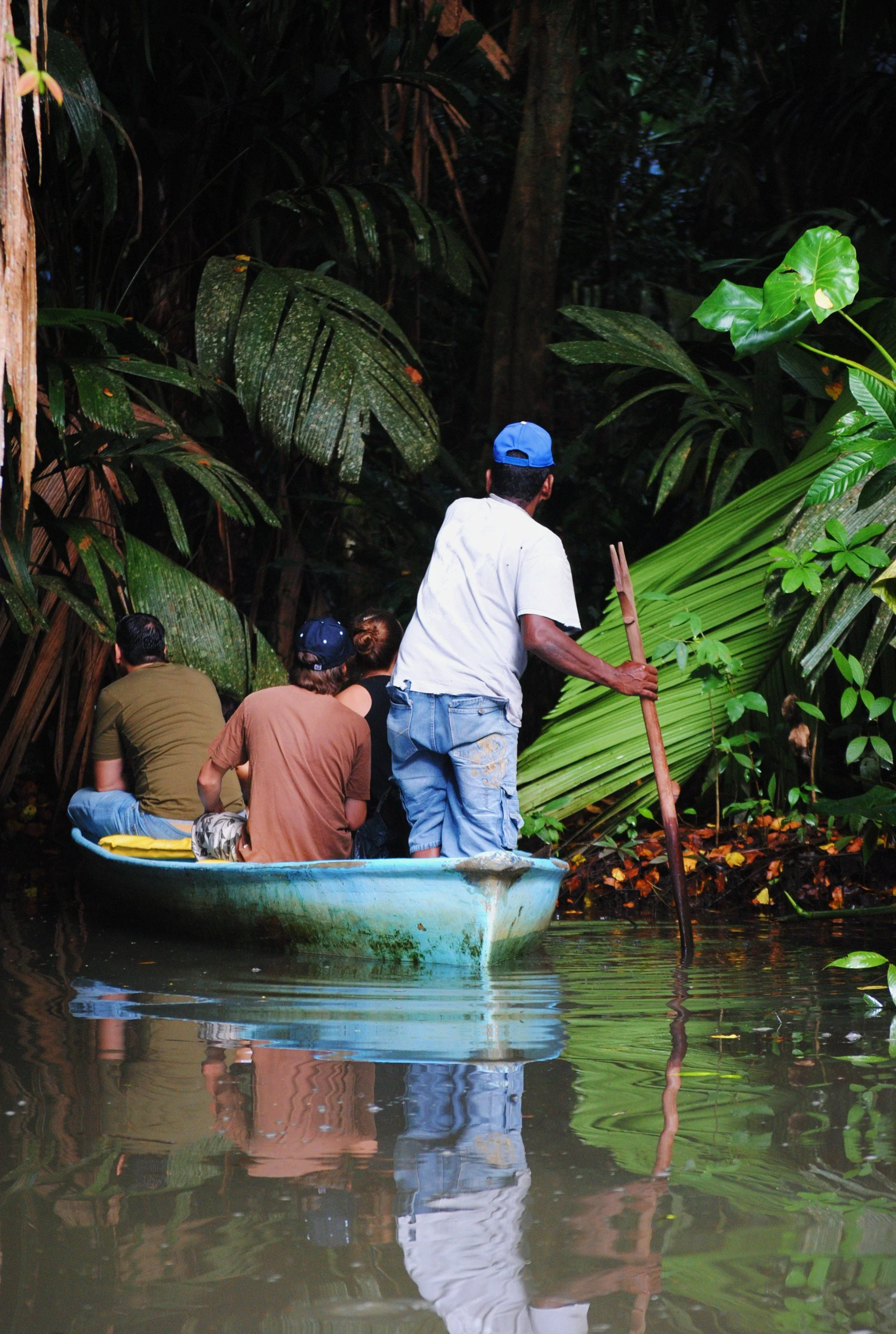 journey-into-the-rainforest_7598503472_o.jpg