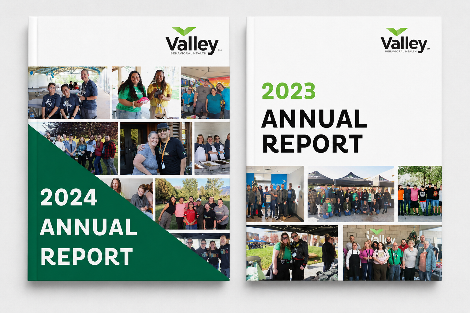 Annual Reports.png