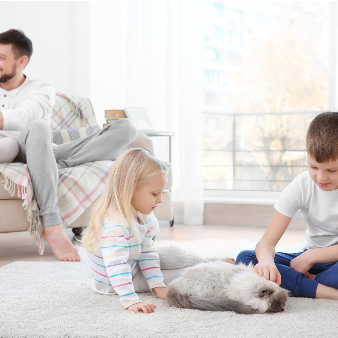 Tips for a Tidy Family Room